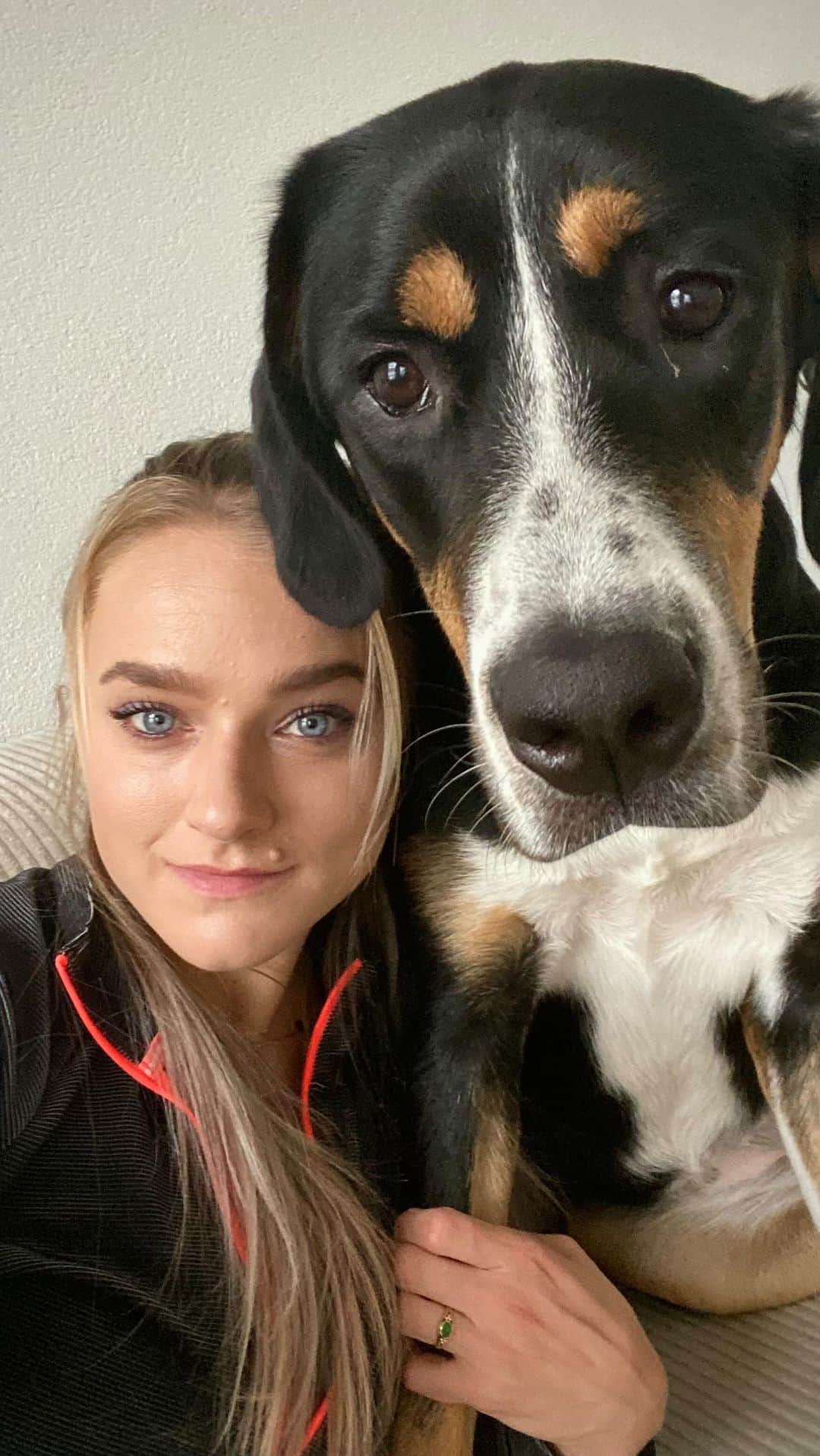 リサンネ・デ・ウィッテのインスタグラム：「My little girl’s transformation from 10 to 40kg ❤️   #puppy #greaterswissmountaindog #puppylove #swissy」
