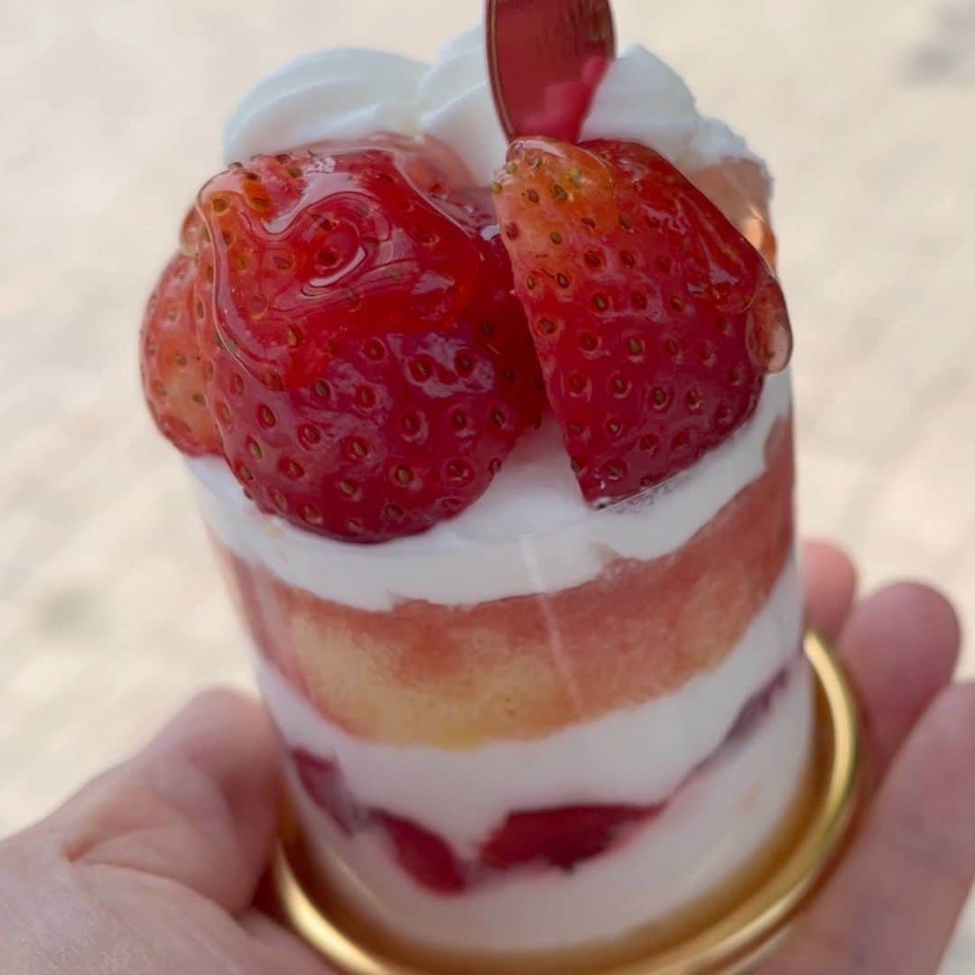 Cooking with Dogさんのインスタグラム写真 - (Cooking with DogInstagram)「Chef enjoyed the strawberry cake and cream puff from the confectionery ENTREE! 👩‍🍳😋 She believes they are using high-quality fresh cream. They were absolutely delicious♪ 🍰 菓子工房アントレの苺のケーキとシュークリームいただきました！😍 良質の生クリーム使ってるのかな。とっても美味しかったです♪」8月12日 0時30分 - cookingwithdog