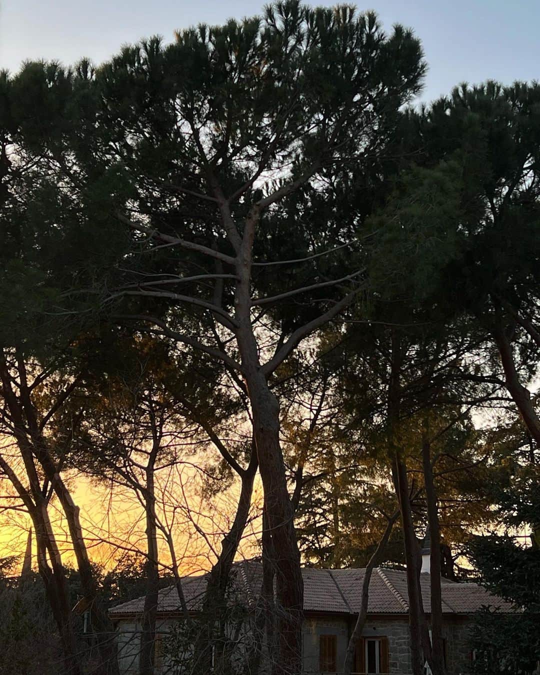 のインスタグラム：「Mindset de disfrute y calma en 🇪🇸」