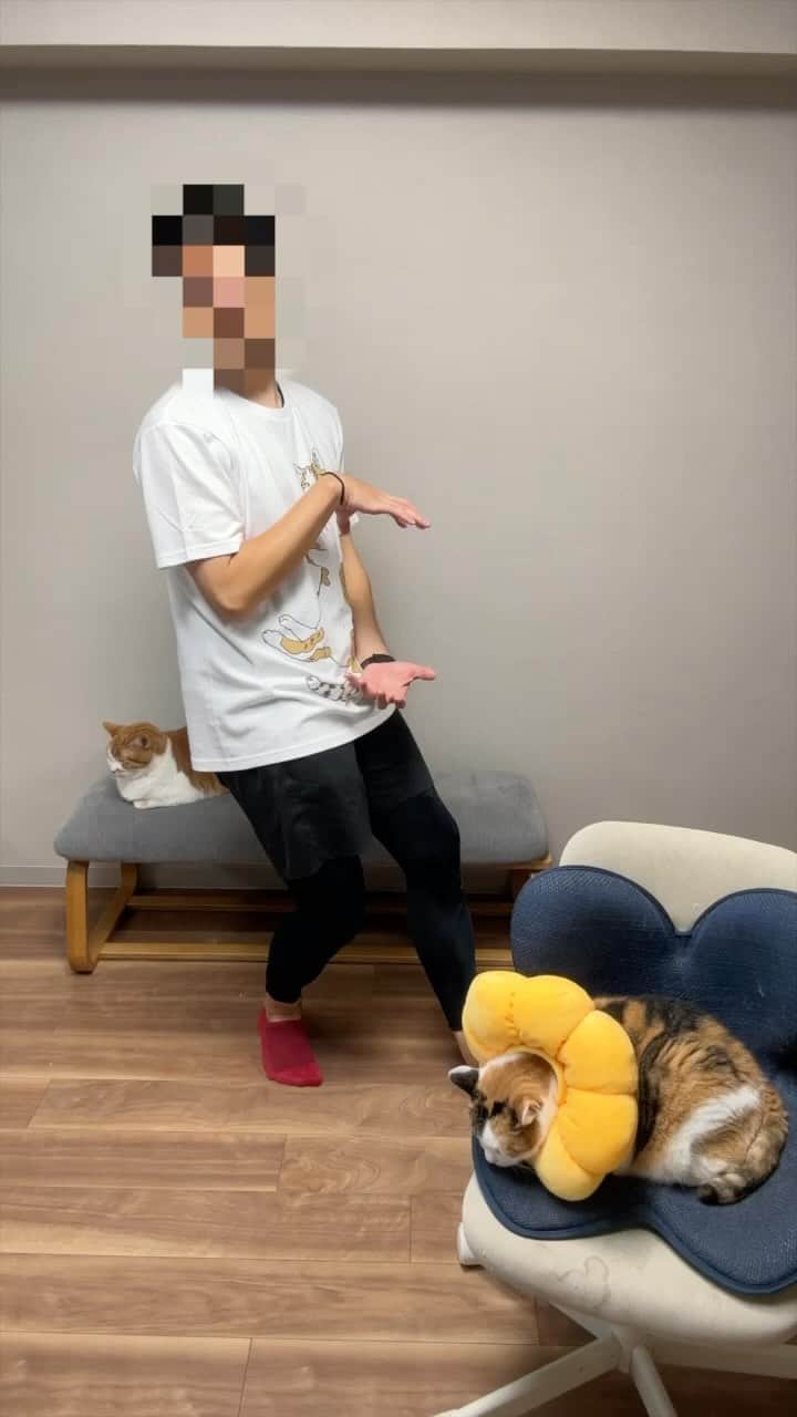 かりんちゃん&ちゃいちゃんのインスタグラム