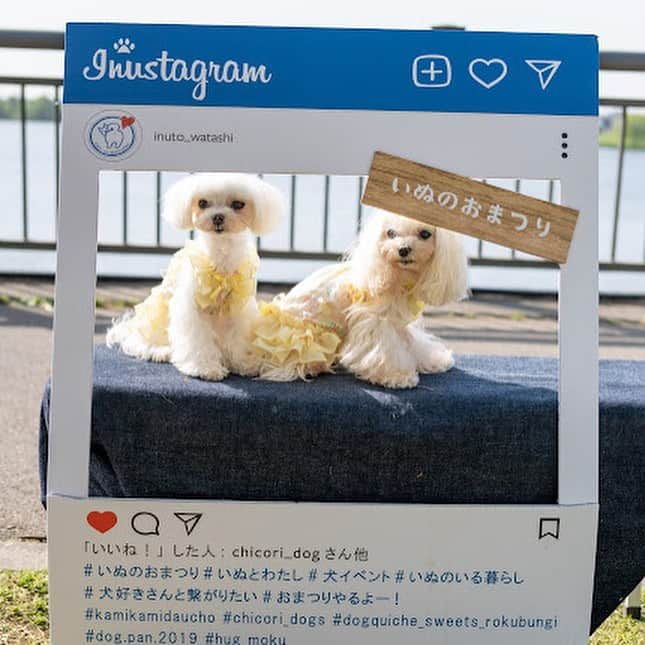 甲斐麻美のインスタグラム