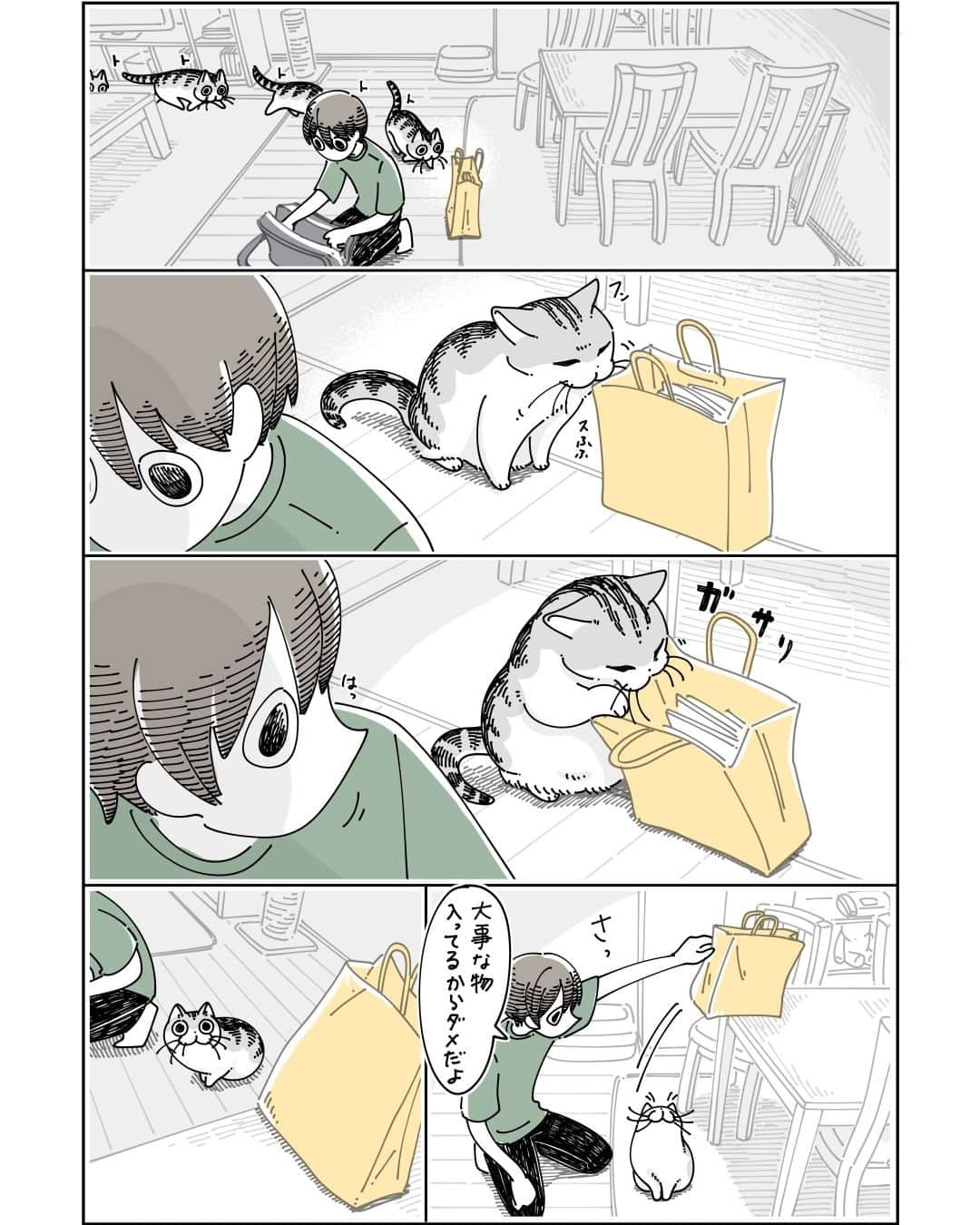 キュルZのインスタグラム：「のぼれちゃったネコ  #キュルガ #夜は猫といっしょ #猫 #cat #猫漫画 #猫のいる暮らし」