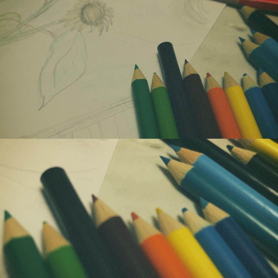 のインスタグラム：「* *  🎨🗒️  #おえかき  #色鉛筆画   ひさびさにお絵描きして たのしかったです。 美術は中学生の時からすきです。  お絵描きの全貌は 9/10.22:10をおたのしみに。  劇作家の話の公演DVDが発送完了と 制作さんからご連絡いただきました。 早いご対応ほんとにありがたいです。 おうちでもぜひお楽しみください♪  在庫少ないですが 少し再販するそうなので まだお手に取ってない方で 気になってた方いたらぜひ。  * *」