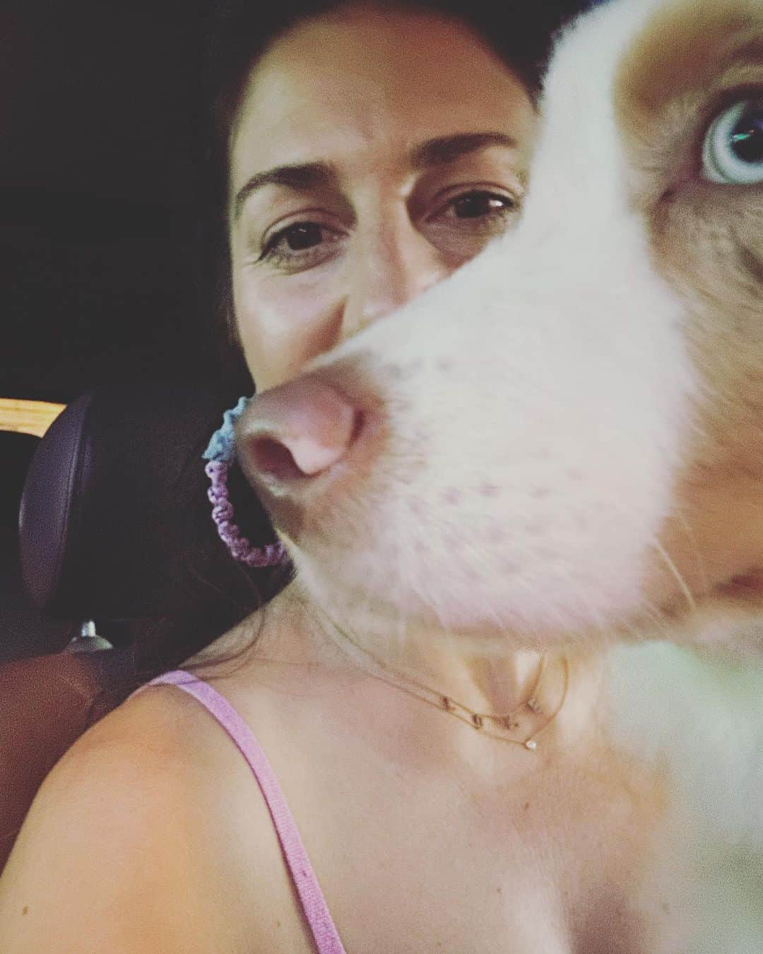 サンドラ・ガルさんのインスタグラム写真 - (サンドラ・ガルInstagram)「A little unusual night out with a very handsome date 🤩🐶」9月9日 21時43分 - thesandragal