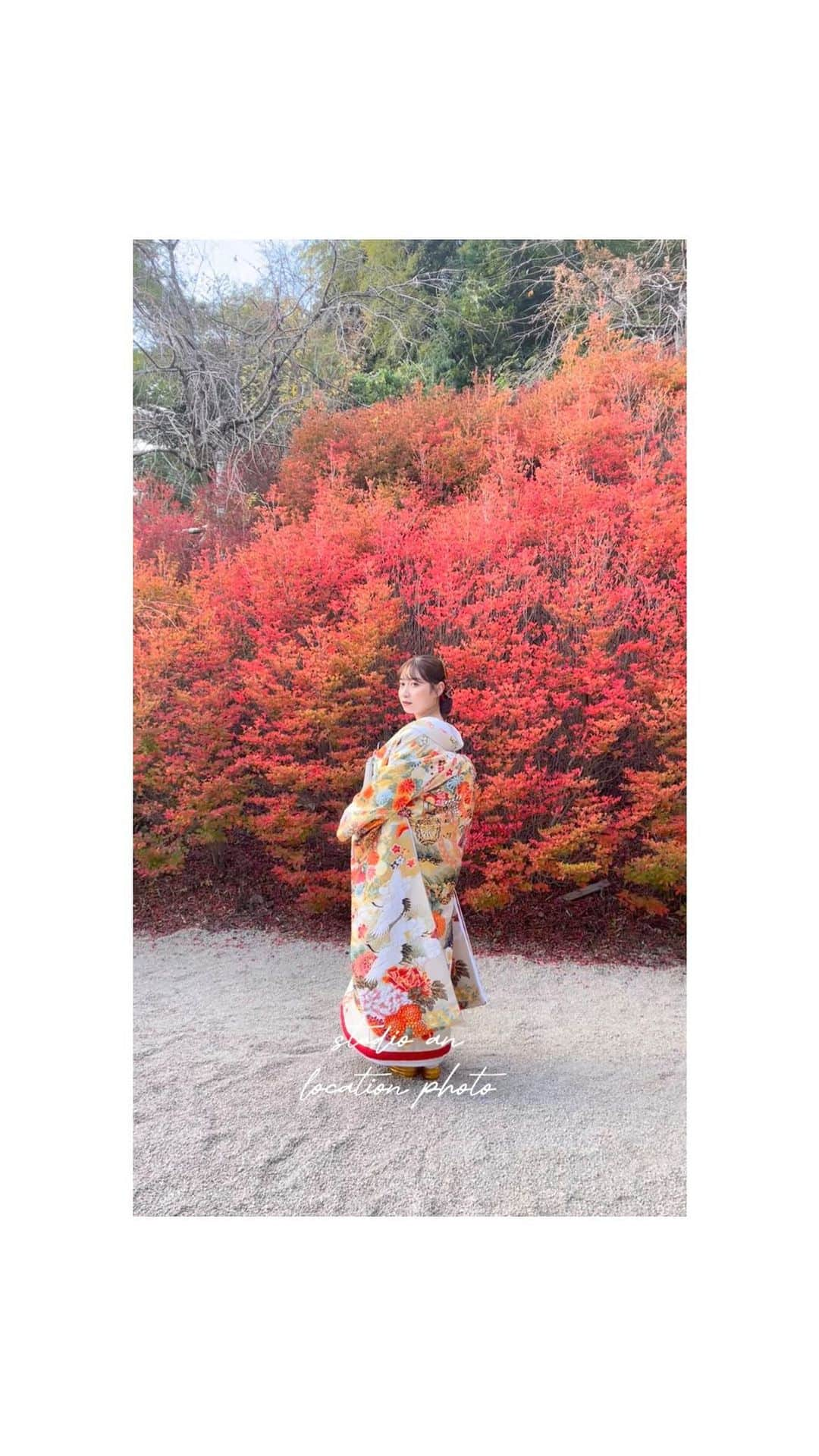 スタジオANのインスタグラム：「紅葉ロケーションプラン🍁  11月末から12月上旬は大人気の紅葉seasonです✨️  こちらは 呑山観音寺 で撮影をさせていただきました🌿‬ ܸ 紅葉はもちろん、ドウダンツツジも醍醐味です◎  人気のシーズン、人気のロケ地での撮影をお希望の方は お早めにご相談会へおいでくださいませ♩  photographer : beppu hairmake : kaneko  ______________________________  studio AN  福岡県福岡市中央区大名2丁目1-35 トライエント山崎ビル5F  tel : 092-738-6677 営業時間 : 10:00~19:00 _____________________________  #スタジオAN #撮る結婚式 #d_weddingphoto  #デコルテウエディング #フォトウェディング #ウェディングフォト #前撮り #結婚写真  #結婚式前撮り #結婚式準備  #福岡花嫁 #九州花嫁 #ドレス #ウェディングドレス #新作ドレス #おしゃれ花嫁  #2023秋婚  #2023冬婚  #紅葉  #紅葉スポット  #紅葉ロケーションフォト  #呑山観音寺」