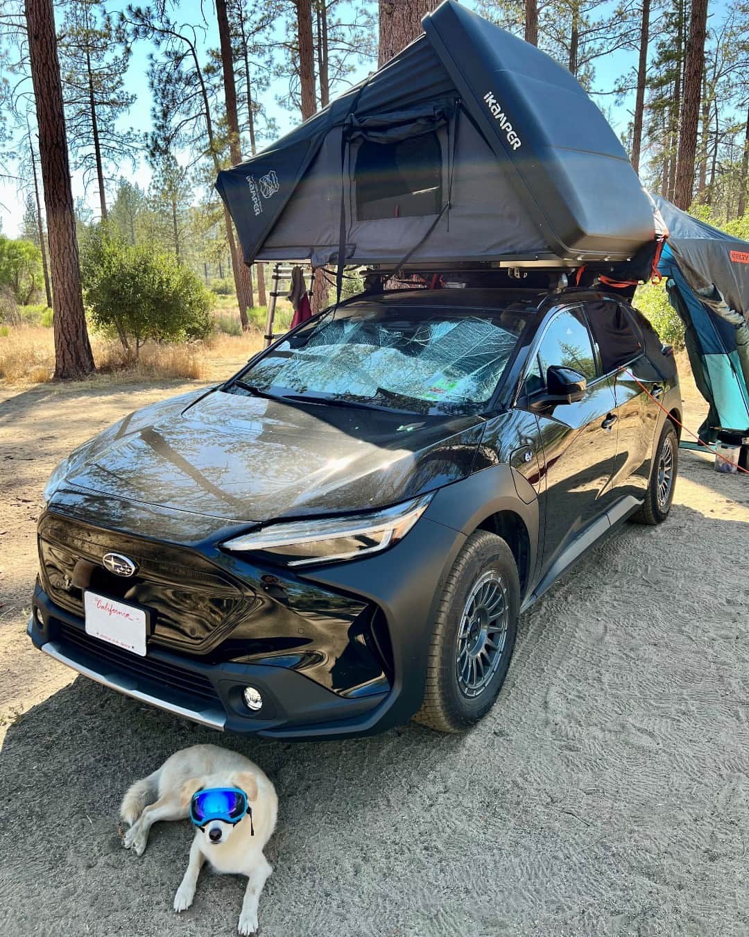 のインスタグラム：「POV: Your #SubaruSolterra and your #SubiePup are ready for a camping trip. The only question is, who are you bringing along? Tag them!  #WorldEVDay  (📸: @wallabyinthewild)」