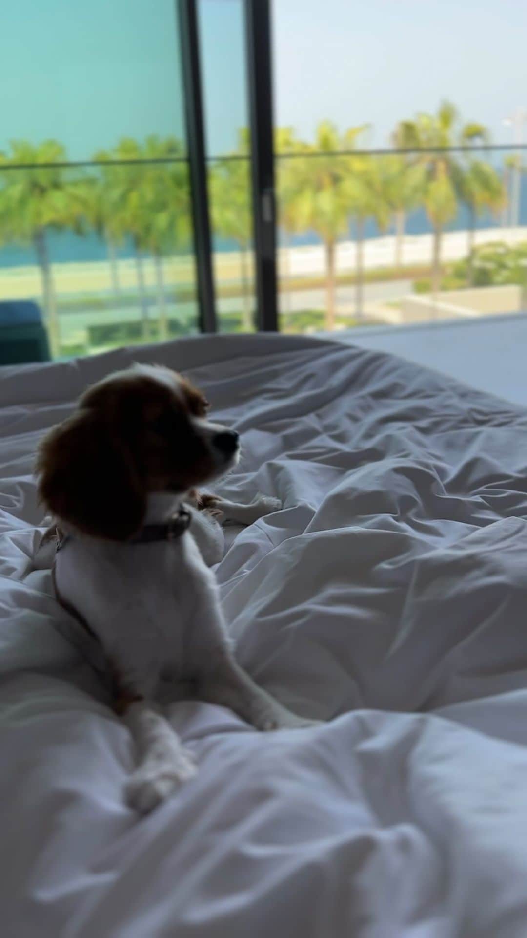 のインスタグラム：「マーケティングで一番重要なのは売るモノの施策もそうですが  売り方、そして売る人の施策も超大事です。  そして大手には大手になっただけの莫大な成功事例や失敗事例  に溢れており、それは多くのメディア情報に集約されています。  例えばUSJ（ユニバ）がなぜ大復活を遂げたのか。  なぜダイソンが大成功を遂げたのか。  「人生たくさん失敗しろ」なんて言葉は実はまだこれら情報が  世の中に出ずらい時代の言葉。これだけ色々な失敗事例が広がっている  時代にわざわざ失敗するべきわけないんです。  こういう企業情報やマーケティング情報をどう自分の事業に使うかなどを  URUオンラインスクールで１時間の動画などで発信しているだけなんです。  #竹花貴騎 #マーケティング #ユアユニ #ビジネス」