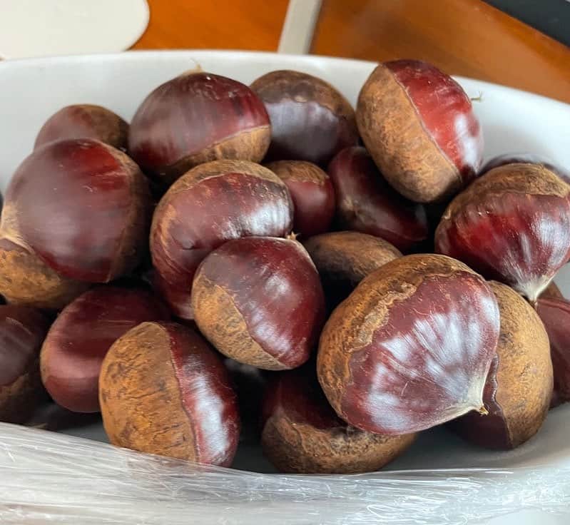 市川海老蔵 （11代目）のインスタグラム：「* Today is Chrysanthemum Festival day  Hence, enjoying chestnut🌰 which is eaten on this day as ritual. It’s that kind of a day🌰❤️  本日は重陽  というわけで、  栗🌰です。  そういう日です🌰❤️  #市川團十郎白猿 #市川海老蔵 #海老蔵 #市川新之助 #成田屋 #歌舞伎 #歌舞伎座 #和 #舞台 #三千世界 #ABKAI #ABMORI #ebizoichikawa #ebizo #kabuki #thunderparty #theater #theaterarts #actor #kabukiactor #japan #classic #traditionaljapan #japaneseculture #japan_og_insta #performingarts」