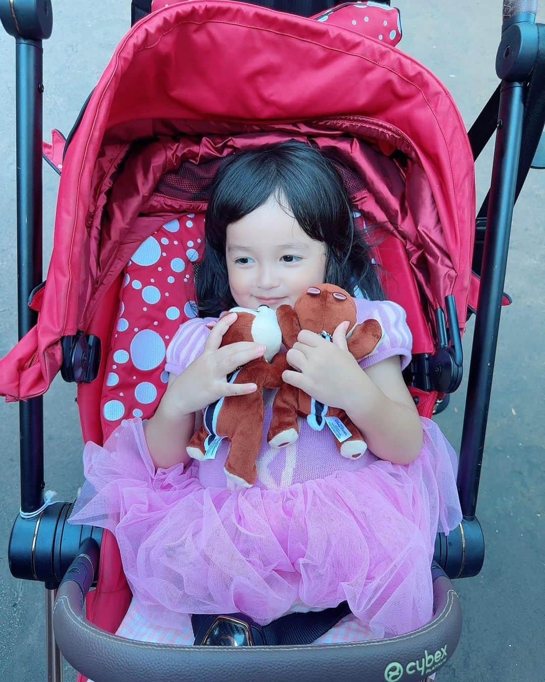 アレクサンダーのインスタグラム：「テイルが売ってなくて チップ2匹飼い❤️の美人ちゃん こちらも可愛いんだから^_^  #チップとデール  #チップとチップ #ラプンツェル」