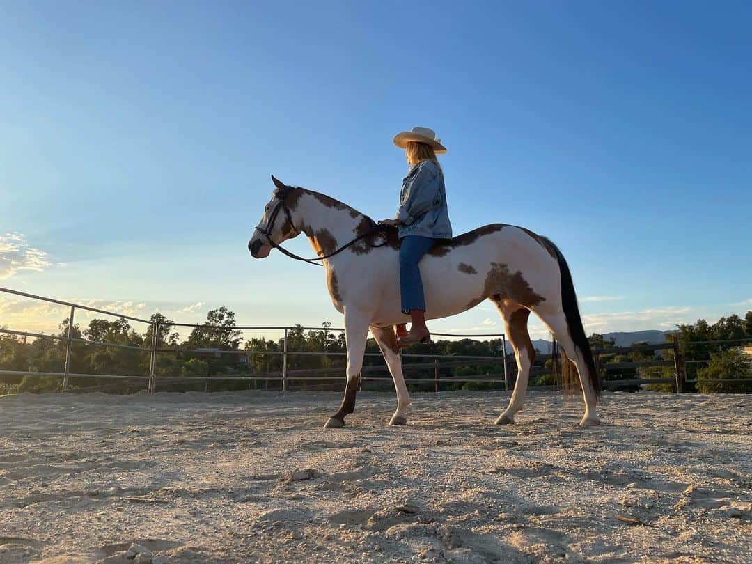 ベス・ベアーズのインスタグラム：「Heart horse. #rescue #rescuehorse #whorescuedwho」