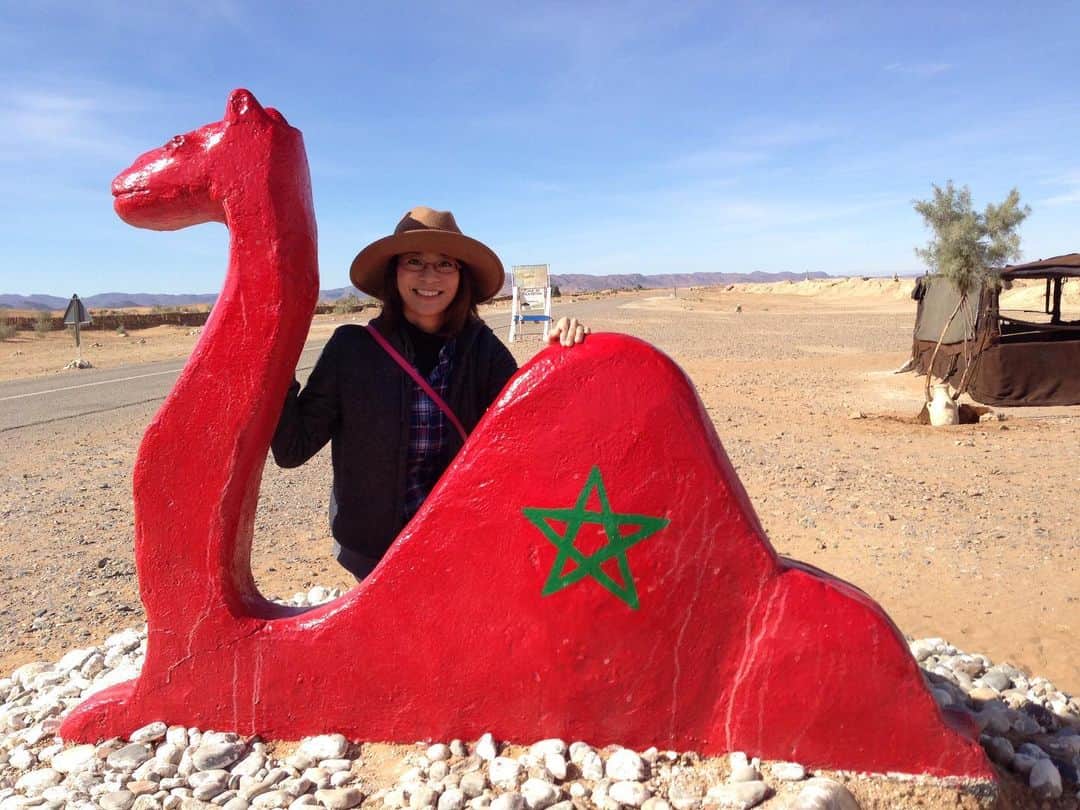 海津ゆうこのインスタグラム：「大好きな国モロッコ。 純粋で一生懸命で情熱的。  モロッコに行くといつも 生きる力をもらえます。  そんなモロッコで大きな地震。 本当に地球で何かが変わってきているんでしょうね。 私がモロッコにできることを探していきます。  #モロッコ#🇲🇦#モロッコ旅行 #サハラ砂漠 #モスク #ハッサン2世モスク #フェズ#アイトベンハッドゥ #世界遺産#モロッコ応援 #instagood #instadaily #instalike #instalife #instapic #フリーアナウンサー#ラジオパーソナリティー」