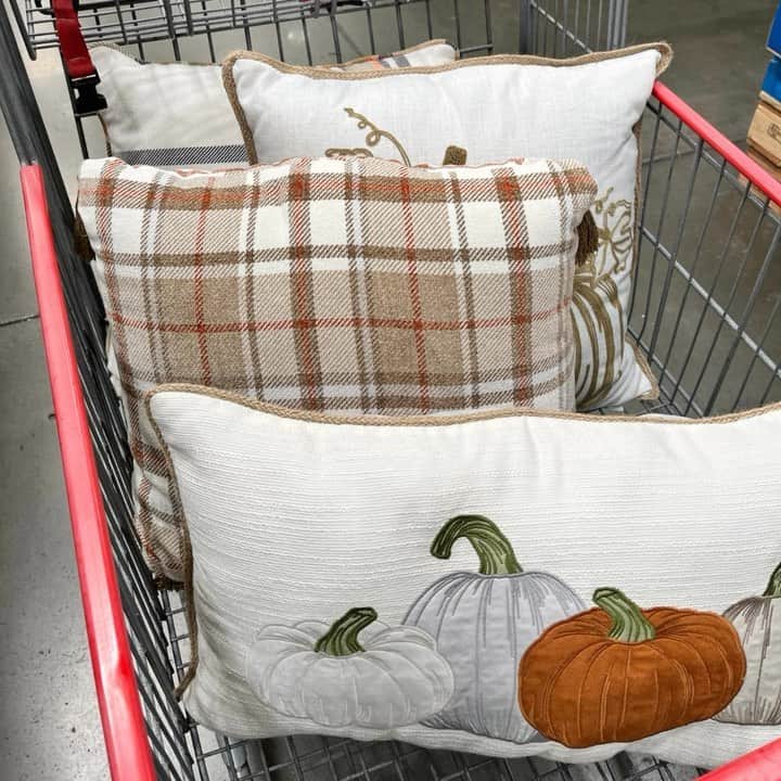 のインスタグラム：「Fall right into these decorative pillows! 🍁」