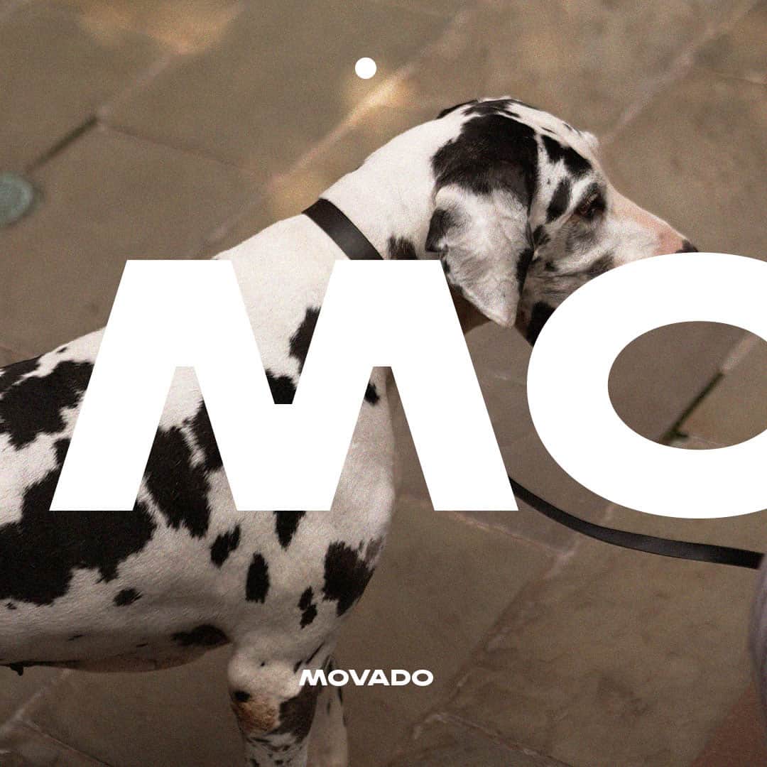 モバードさんのインスタグラム写真 - (モバードInstagram)「Meet Movado: A single dot that makes it all move.」9月10日 1時00分 - movado