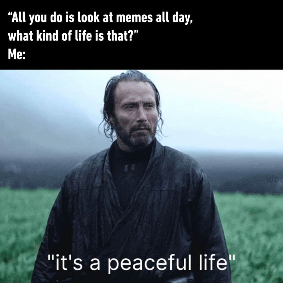 のインスタグラム：「and I like it  - #peaceful #life #enjoyment #memes #9gag」