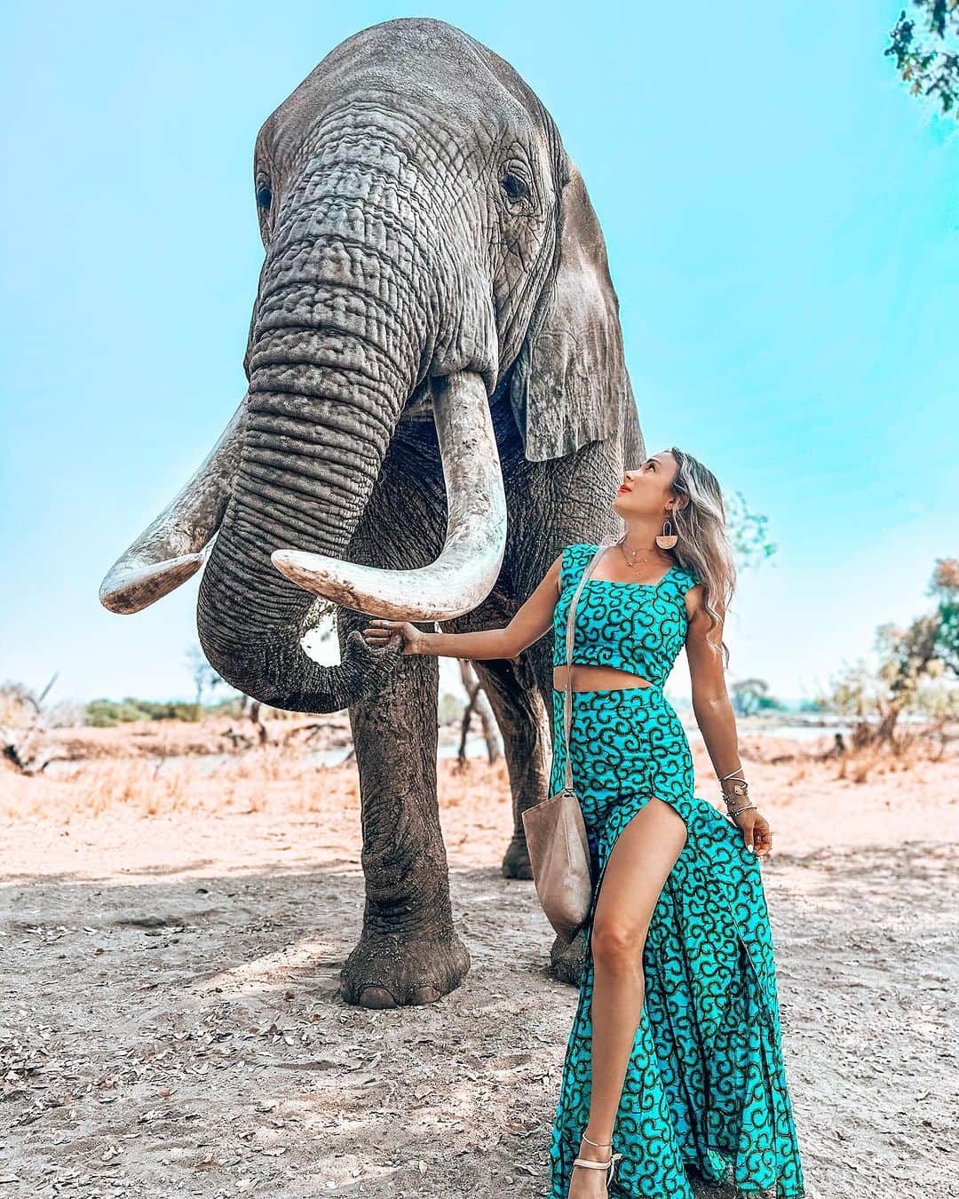 アリサ・ラモスのインスタグラム：「Finally getting a chance to post after over a week! So starting out with an elephant rescue I went to 6 years ago that I am grateful to have brought my group to last week!  This is at @theelephantcafezambia — one of the few places I have heard of that used to allow elephant riding, but stopped when they saw that many people were against it on social media. Instead, they opened a beautiful lunch spot with incredible food, and they use that to profit (both for the humans and the elephants) instead of forcing the animals to be ridden.  The elephants are still free-roaming as well, but they will come up to the cafe area for “treats” which is how you can take photos with them. It’s still not total freedom but at least a step in the right direction.  Is meeting an elephant on your bucketlist? Which of these is getting put on my CasitAlyssa wall??  Moments from my recent @mylifesatraveltribe group trip in #zambia #zimbabwe #botswana #africa #mylifesatravelmovie」