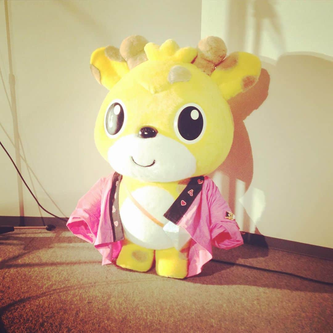 いしきりんのインスタグラム：「Please also have a good time by a smiling face today.😗今日も笑顔で楽しく過ごしてねぇ♪( ´θ｀)ノ  #youtube #キャラクター #character #osaka #photooftheday #webstagram #cute  #kawaii #follow #likeforlike #松竹芸能 #いしきりん」