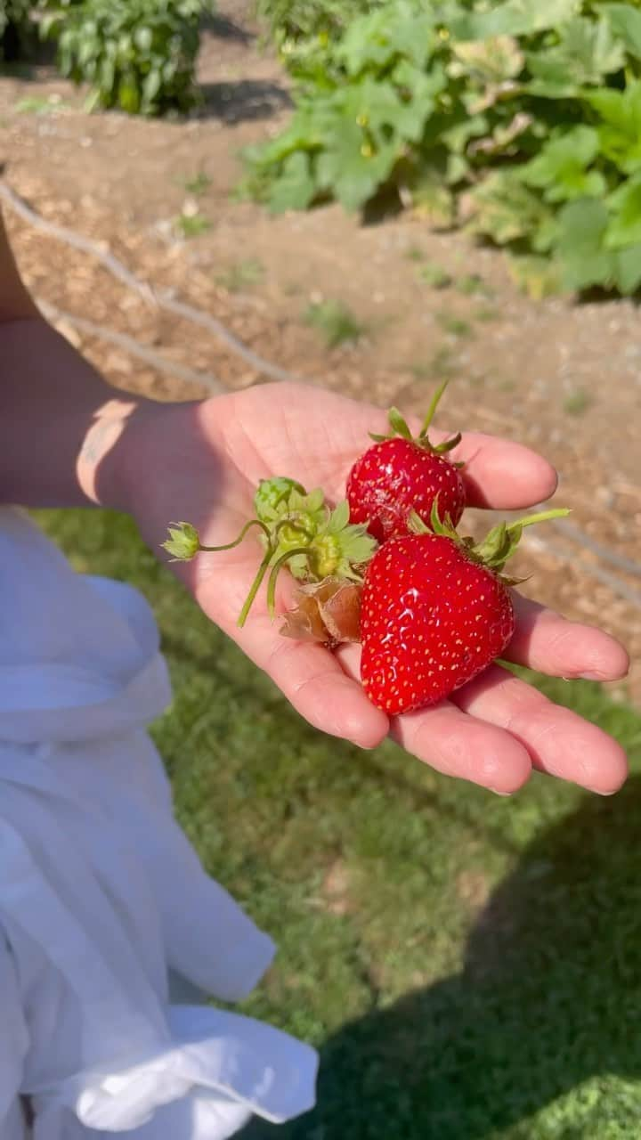 JEN ATKINのインスタグラム：「we ♥️ you Finley Farms 🐓🍓🐐🥬 @haydenslater @mbkayne」