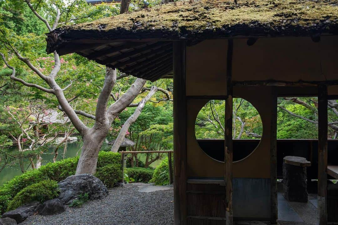 八芳園さんのインスタグラム写真 - (八芳園Instagram)「9月を迎え、初秋の色合いを感じる日本庭園。  例年より遅咲きの百日紅が、緑の中で鮮やかに映渡ります。  夕陽が落ちる前の、静寂のひととき。  初秋の日本庭園で、季節の移ろいをご堪能ください。  🍃  #八芳園 #happoen #結婚式場 #日本庭園 #9月 #長月  #百日紅 #さるすべり #flowerstagram #flower_daily #はなまっぷ #私の花の写真 #日本の四季 #夕方  #カメラ部 #写真好きな人と繋がりたい #東京カメラ部 #その瞬間に物語を #風景写真  #japanesegarden #japan_of_insta #jp_views #special_spot #tokyo #japan_daytime_view #ig_jp #japanoinsta #japantravel #tokyotrip」9月5日 23時02分 - happoen