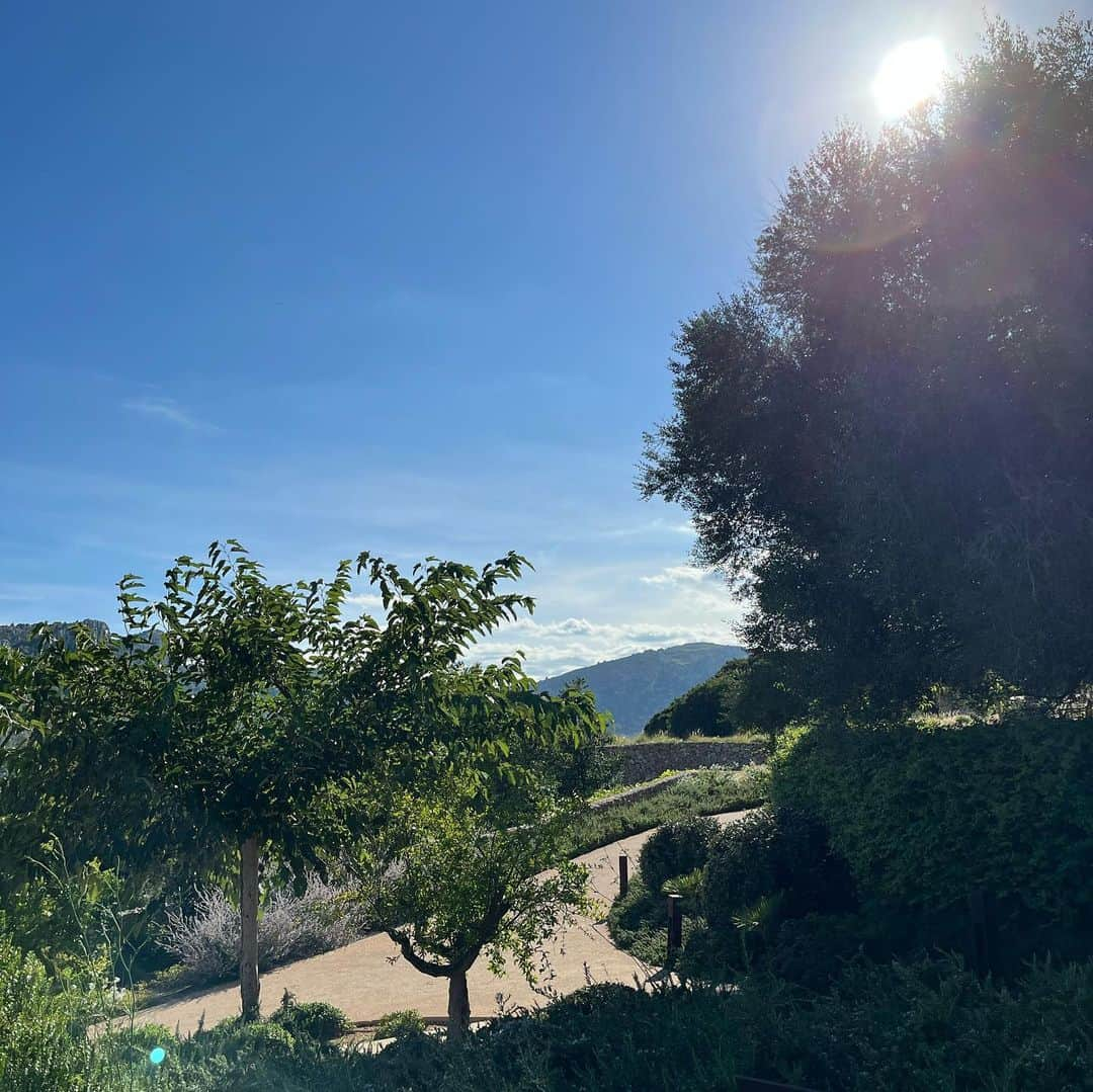 ケイトリン・ディーヴァーさんのインスタグラム写真 - (ケイトリン・ディーヴァーInstagram)「🌿🍃🫏✨🌳☁️🍃🫏」9月5日 23時41分 - kaitlyndever