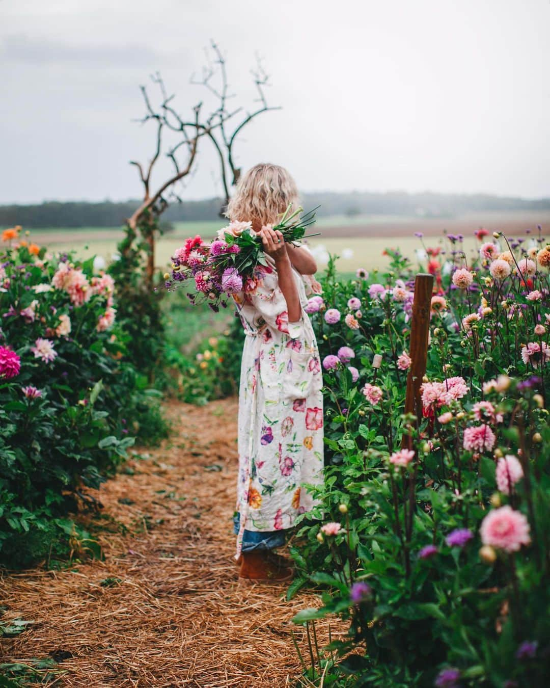 Linda Lomelinoさんのインスタグラム写真 - (Linda LomelinoInstagram)「From my annual shoot with @myfeldt at @lofskogstradgardochkrus 💕 the most magical flower garden. I highly recommend a visit if you’re in the area!」9月6日 0時31分 - linda_lomelino