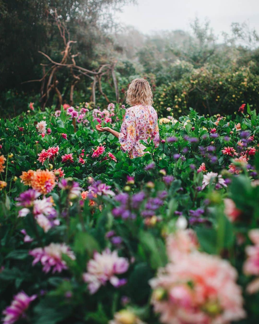 Linda Lomelinoのインスタグラム：「From my annual shoot with @myfeldt at @lofskogstradgardochkrus 💕 the most magical flower garden. I highly recommend a visit if you’re in the area!」