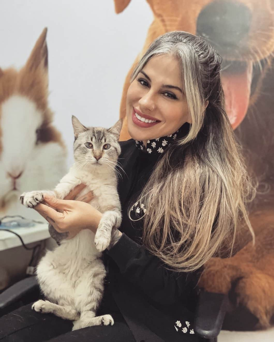 バネッサ・メスキータのインスタグラム：「Esse é o Luan Santana❗️Gatinho portador de uma doença chamada FIV=AIDS   👉🏼Vírus da imunodeficiência felina  👉🏼Também é chamada de Aids felina.  👉🏼Não afeta os seres humanos.  👉🏼Maior via de transmissão ( gatos como acesso a rua = briga com outros gatos )  👉🏼 É uma doença que não tem cura, porém os gatos com fiv vivem muito bem, desde que mantenham sua imunidade boa.  👉🏼Não deixe seu gatinho ter acesso a rua e a castração diminui o instinto do gato querer sair para a rua.   Quer saber mais sobre a fiv? Pergunte aqui 🥰👇🏼  #gatos #catsofinstagram #medicinaveterinaria #medvet #fivcatsofinstagram #adoteumgatinho」