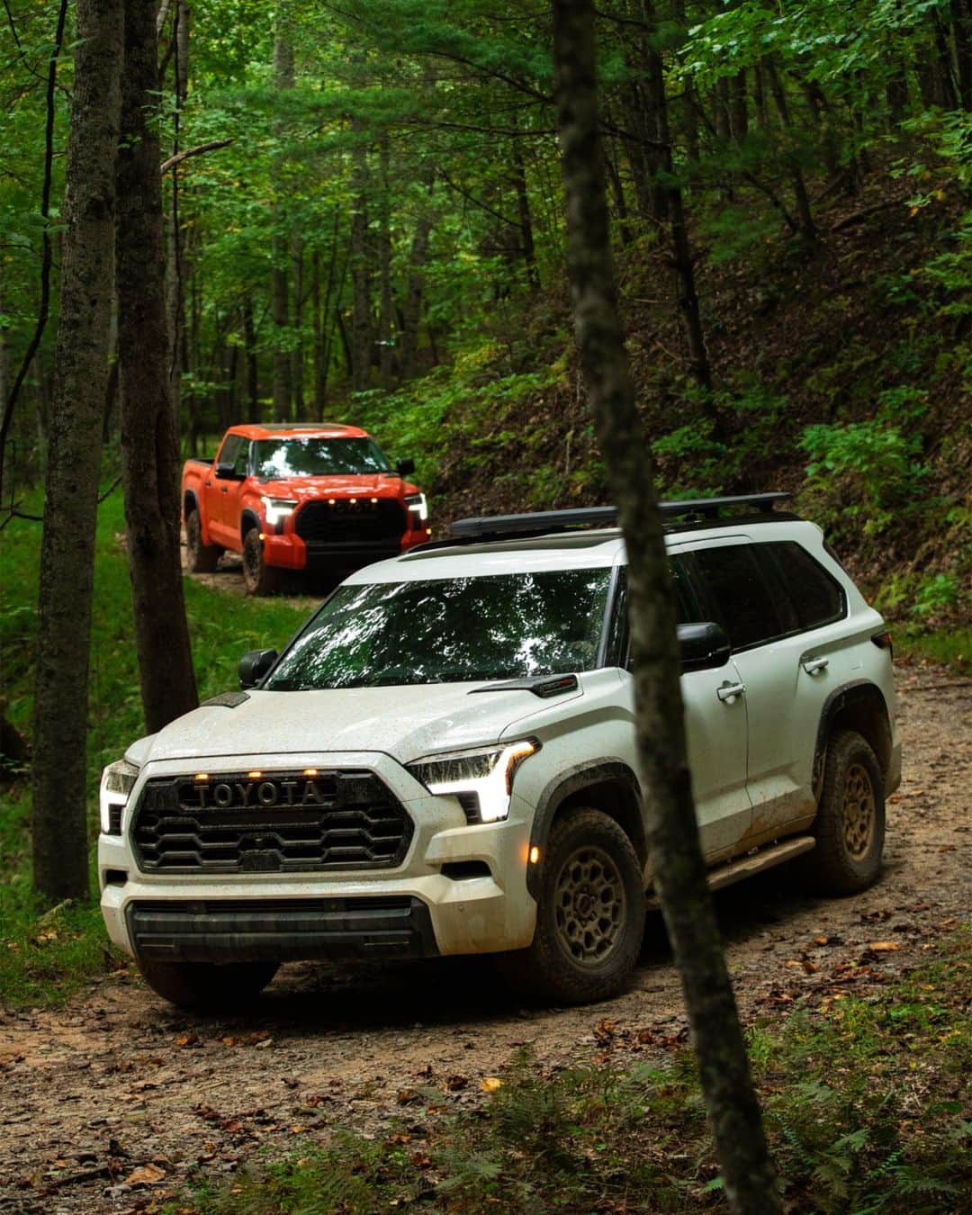 toyotausaのインスタグラム：「Brotherly mud. #Tundra #Sequoia #TRD Pro #LetsGoPlaces」
