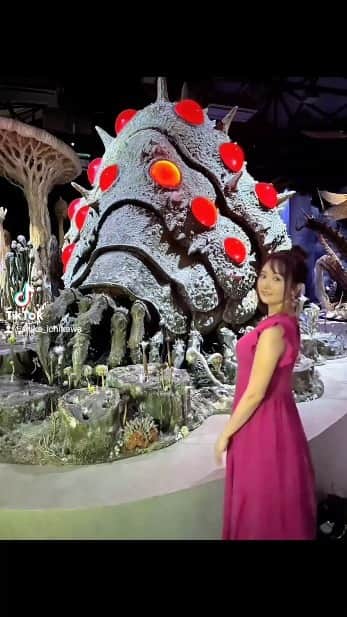市川みかのインスタグラム