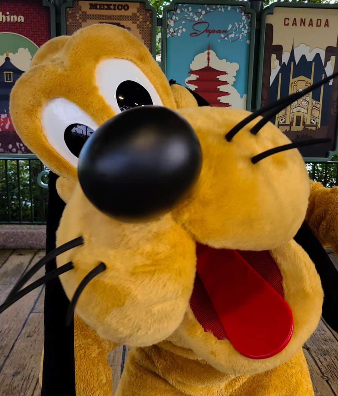 Walt Disney Worldのインスタグラム：「Hip hip paw-ray! Drop a 🐾 to wish Pluto a happy birthday! (📸: @soarinoverthemagic)」