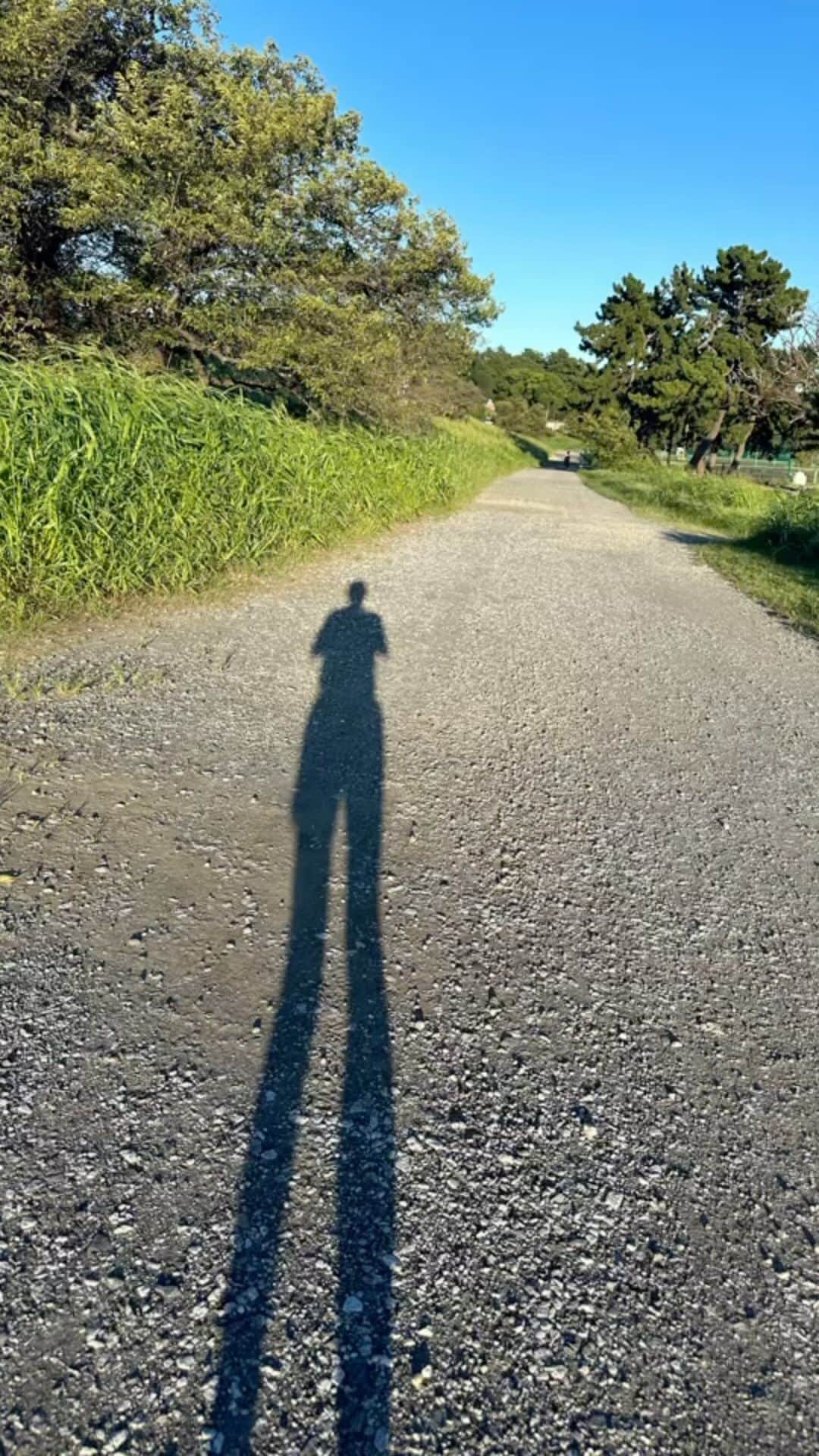 伊達公子のインスタグラム