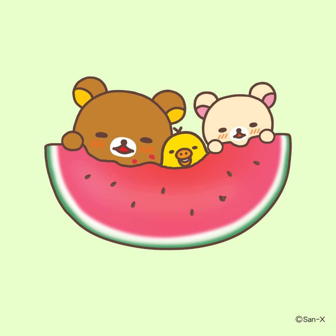 Rilakkuma US（リラックマ）さんのインスタグラム写真 - (Rilakkuma US（リラックマ）Instagram)「Summer is sharing a huge watermelon with friends! 🍉For Rilakkuma, Korilakkuma, and Kiiroitori, summer means falling asleep after too! 💤  #rilakkumaus #rilakkuma #sanx #sanxoriginal #kawaii #plush #plushies #リラックマ #サンエックス #summer #watermelon」9月6日 5時02分 - rilakkumaus