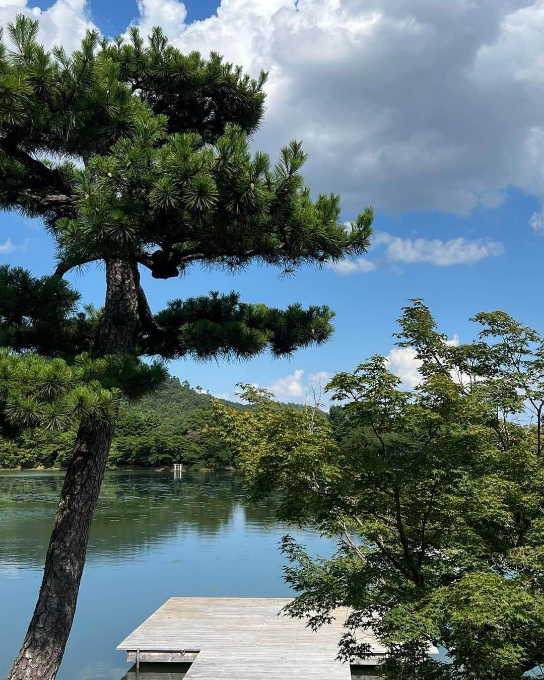 中村水咲さんのインスタグラム写真 - (中村水咲Instagram)「天龍寺→嵯峨野 竹林の小径→清涼寺→大覚寺→仁和寺→先斗町ぷらぷら🌸  #京都 #kyoto #天龍寺 #天龍寺庭園 #tenryuji #竹林の小径 #嵯峨野竹林 #清涼寺 #seiryoji #大覚寺 #daikakuji #光源氏 #仁和寺 #にんなじ #ninnaji #先斗町 #歴史 #世界遺産 #旅行 #休日 #マイペース #みさきてぃ #高身長女子 #ゲーム女子 #グルメ女子 #御朱印巡り #御朱印帳 #スーパーロングヘア #漂亮 #summer」9月6日 15時53分 - misaki_mania