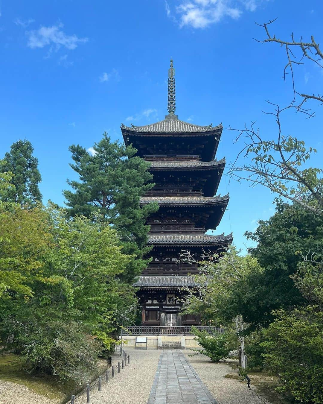 中村水咲さんのインスタグラム写真 - (中村水咲Instagram)「天龍寺→嵯峨野 竹林の小径→清涼寺→大覚寺→仁和寺→先斗町ぷらぷら🌸  #京都 #kyoto #天龍寺 #天龍寺庭園 #tenryuji #竹林の小径 #嵯峨野竹林 #清涼寺 #seiryoji #大覚寺 #daikakuji #光源氏 #仁和寺 #にんなじ #ninnaji #先斗町 #歴史 #世界遺産 #旅行 #休日 #マイペース #みさきてぃ #高身長女子 #ゲーム女子 #グルメ女子 #御朱印巡り #御朱印帳 #スーパーロングヘア #漂亮 #summer」9月6日 15時53分 - misaki_mania