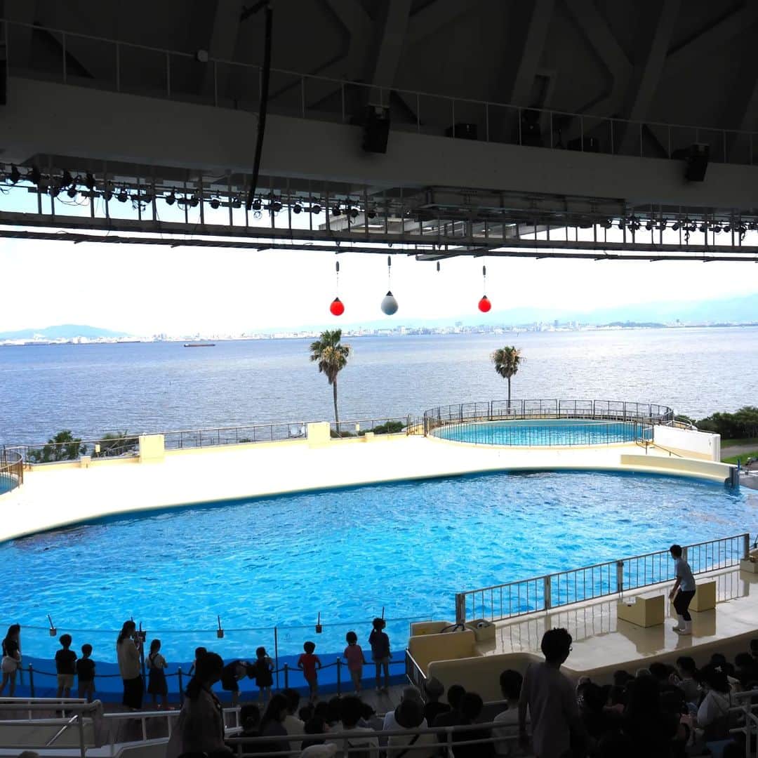 Kuboi Ayumiさんのインスタグラム写真 - (Kuboi AyumiInstagram)「びしょぬれ注意！！！  福岡のマリンワールド海の中道へ。 『九州の海』を展示テーマとした福岡の水族館で、特に楽しみにしていたのは「イルカショー」です。 青空の下で玄界灘の海をバックにショーが楽しめるなんて、贅沢！  夏休みだったこともあり、１時間前でもほぼ満席でした。 早めに行って、テイクアウトしたドリンクやフードを食べている人が多く 我が家もイルカカフェで購入したものを食べていたのですが、このカフェもめちゃめちゃ混んでいて、１時間近く並んでいたかも。 ショーがはじまる前からママ、げっそり。。。  でも、ソフトクリームやたこ焼きなどをおいしそうに食べている娘たちを見てると癒されてしまうのは、なぜだろう。  イルカショーの前にアシカのショーもありました。 そのあと、お楽しみのイルカショーがはじまります。 ご挨拶をする姿がかわいくて、ジャンプは迫力があって、来てよかった！  そして夏ならではなのでしょうか。 「イルカに水をかけてほしい人は前に出てきて～」と お兄さんの悪魔の一声を聞いた娘たちは、一番前まで行って、たくさん水をかけてもらっていました。  そして、前のオレンジの席までは濡れますよ、ということで４列目に座っていた私はというと、イルカちゃんたちの元気が良すぎてびちゃびちゃに（笑） カメラやスマホはしっかり守ったので、動画が撮れず残念なくらい。  「えっ！！！！こんな濡れる？！！！」  ワンピースを着ていってしまった私は全身ずぶ濡れで めちゃめちゃ重くなってしまったワンピースを絞りながら歩く羽目に…。 とはいえ、とても暑い日だったので、外を歩いているうちにすぐに乾いてくれました。  ■マリンワールド海の中道(@marineworld.uminaka) 〒811-0321  福岡県福岡市東区西戸崎18-28 092-603-0400  ○+●+○+●+○+●+○+●+○+●+○+●+○+●  @himekagami　←check♡  おうちごはん が楽しくなるお取り寄せグルメ や 簡単＆時短ごはん、育児情報など発信中！ 投稿が気に入ったら保存&フォローしていただけるとうれしいです。 いつもありがとうございます(^^)  ○+●+○+●+○+●+○+●+○+●+○+●+○+●   #福岡観光 #福岡旅行 #九州旅行 #九州観光 #福岡 #fukuoka  #子連れ旅行 #子連れでお出かけ #子連れお出かけ #マリンワールド海の中道 #水族館　#いるか #イルカ #イルカショー #マリンワールド #aquarium」9月6日 15時55分 - himekagami