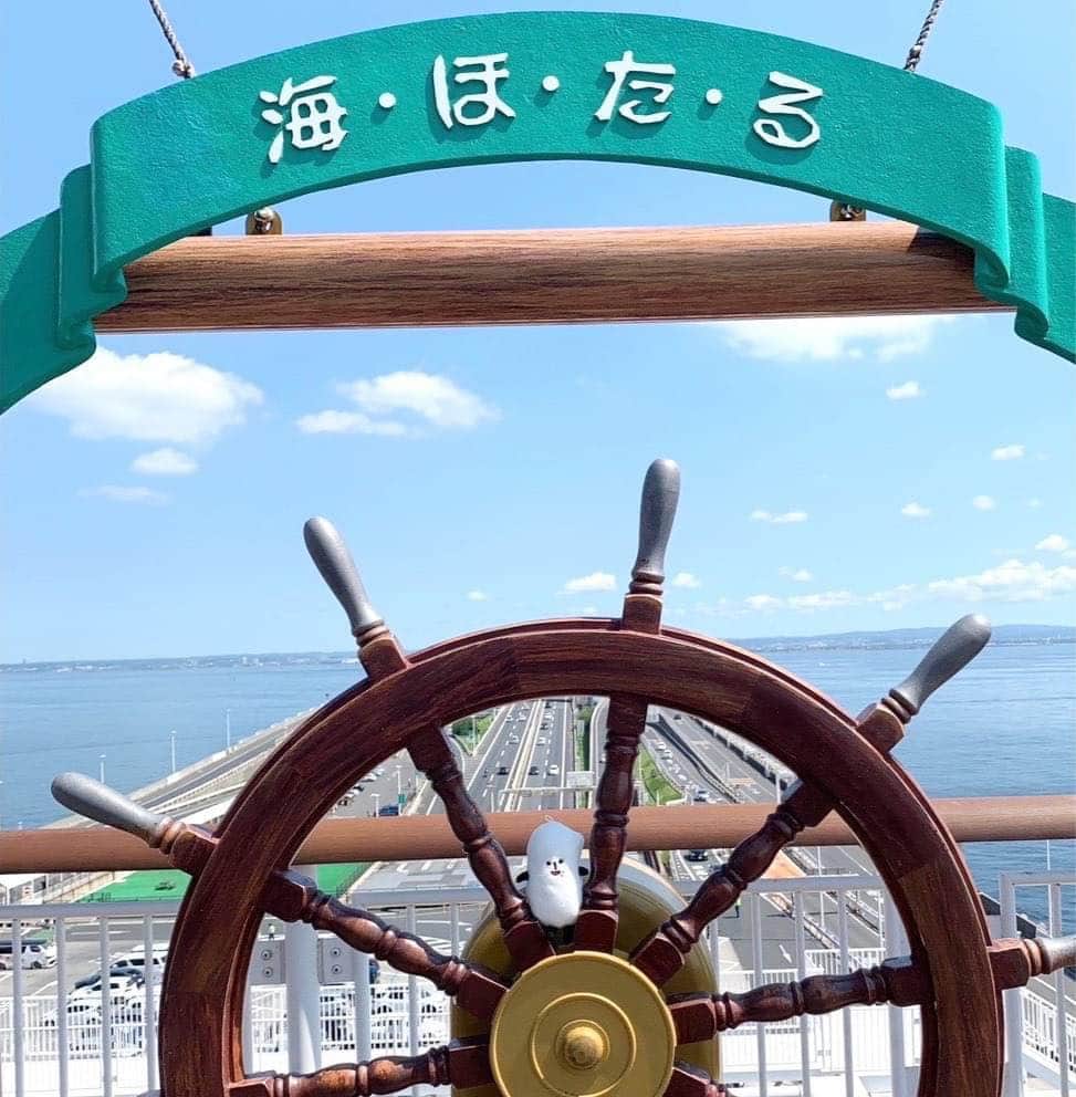 コメ助のインスタグラム：「.  #海ほたる  #鴨川 に来たコメ☺️🏖   . 海ほたるでしか観ることができない #東京湾 の360℃の #パノラマビュー 👀 #絶景 でロマンチックな場所だったコメ✨  . 海ほたるは、#海洋 環境の保全にも 貢献しているんだコメ🌊🐳  ぼくももっと #SDGs について勉強しなきゃ😌🌏  . みな産も、#安全運転 で 大切な人とぜひ行ってみてヨネ🤭🌸  #海 #東京湾アクアライン #首都高 #東京 #千葉 #車 #ドライブ #パーキングエリア #SDGs #食品ロス  #旅行 #夏休み #ゆるキャラ #コメ助」
