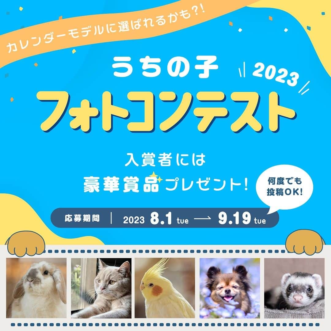アイペット ペットスナップキャンペーンのインスタグラム