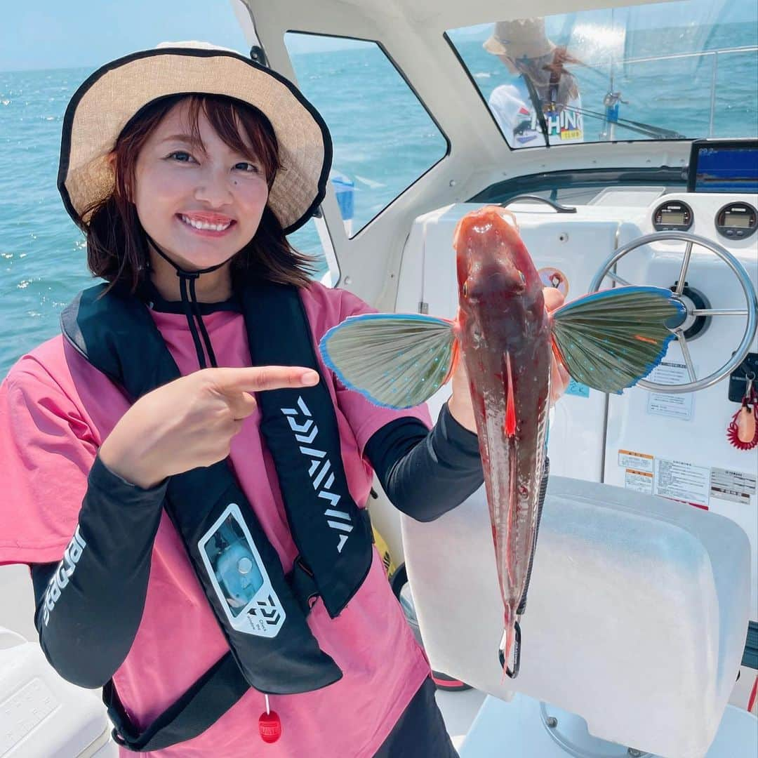 晴山由梨のインスタグラム：「爆釣釣り女子会 in葉山  私のプロデュース艇サンリリー号に乗って、 女性だけのSLJ(スーパーライトジギング)釣行を楽しんできました😊  こんなに魚が釣れるSLJは初めてっていうくらい、 釣果に恵まれてイケスはあっという間に水族館状態🐠🐡🐟  そして今回は釣った魚をマリーナ近くのお店 「vamonos（バモノス） @hayama.vamonos 」に持ち込んで、 料理してもらうという贅沢な時間を過ごしました😍  詳しくは発売中の『ボート倶楽部 10月号』を ぜひぜひご覧ください📖✨  @boatclub_official   ---------------- ロッド：CATALINA BJ AP 610MS-MT リール：BLAST LT4000-CH ライン：PEX8 0.8号 ジグ：TGベイト 45g  #ボート倶楽部 #ボート雑誌 #葉山マリーナ #相模湾 #サンリリー #slj #スーパーライトジギング #ボートフィッシング #レンタルボート #tgベイト #爆釣 #釣果料理 #vamonos」