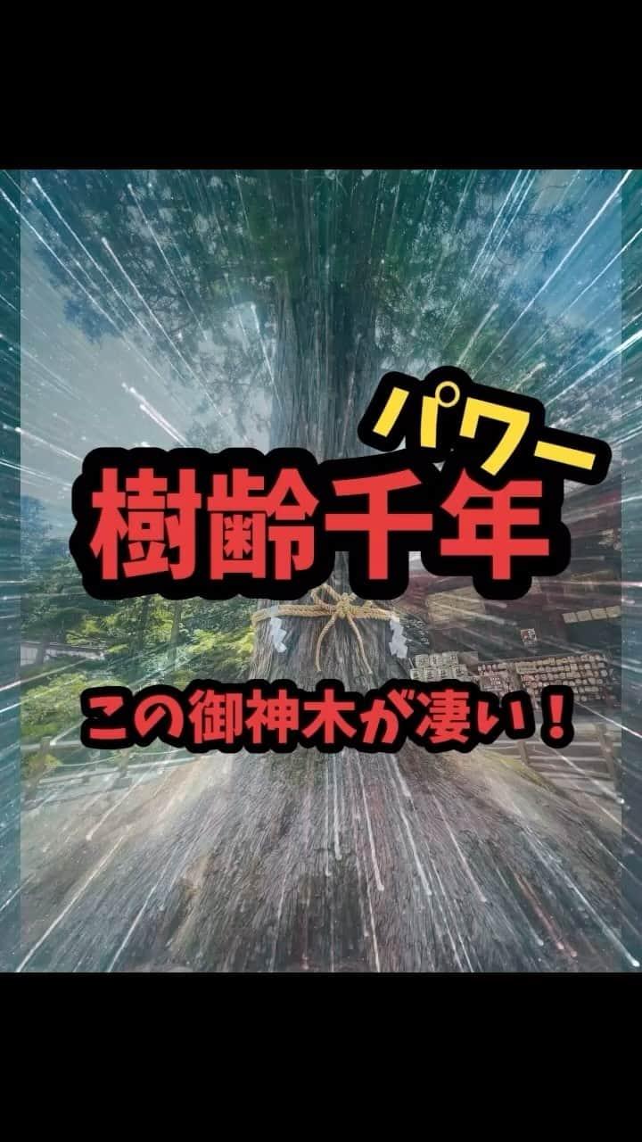 広音のインスタグラム：「《⛩️ここは凄いです‼️樹齢千年の御神木様⛩️》  今日は山梨県の北口本宮富士浅間神社の御神木様のご紹介をします  樹齢千年の御神木様は全国的にも珍しくとにかく大きいです  この御神木様を目の前にするといつも感じます それは、人も木も根っこが大切だと言う事です  根っこさえしっかりれば何度枯れても立ち上がれるし起き上がれます 逆に人生において大きな木を育てる事ができても根っこが育ってなければ倒れてしまいます  根っこは大地に伸びていくので、一見目には見えないです それは時に自分から見て成長をしてないように感じてしまう時もあると思いますが、地道な努力をしている人は目に見えないだけで必ず成長しています  そして、根っこができたら準備万端！ 大空に向かって結果という大きな木ができていきます😉 今日も大地に根っこを伸ばすイメージを持って張り切っていきましょう！  それでは今日も開運で行ってらっしゃい👋 good luck👍  こっそりナレーションものまねしてますwww  #開運#運気#応援#メッセージ#神社#御神木#ポジティブ」