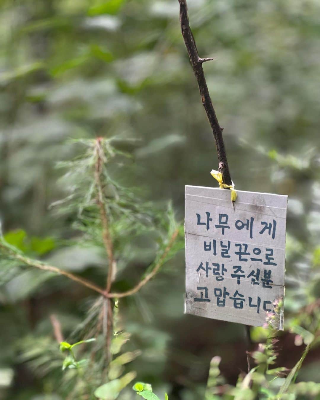 のインスタグラム：「산 🍃」