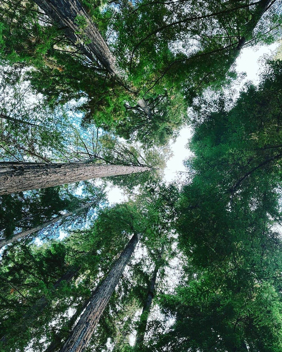 アビゲイル・アンダーソンさんのインスタグラム写真 - (アビゲイル・アンダーソンInstagram)「Long weekends with nature and husband. These are a few of my favorite things.」9月6日 9時37分 - abigail_lauren