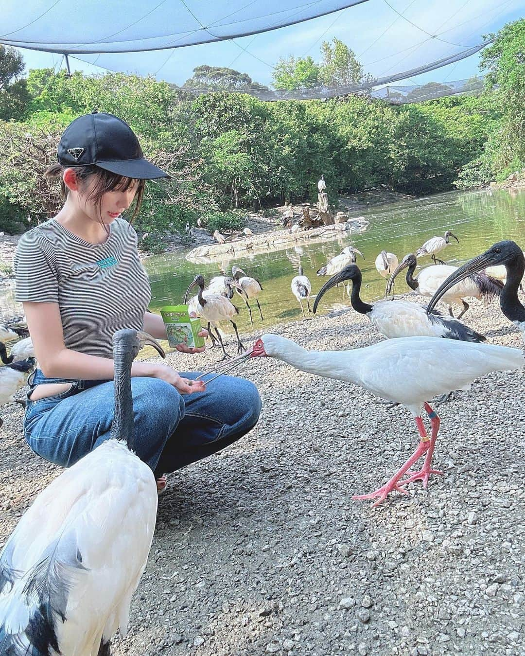 えなこさんのインスタグラム写真 - (えなこInstagram)「🦆」9月6日 9時40分 - enakorin