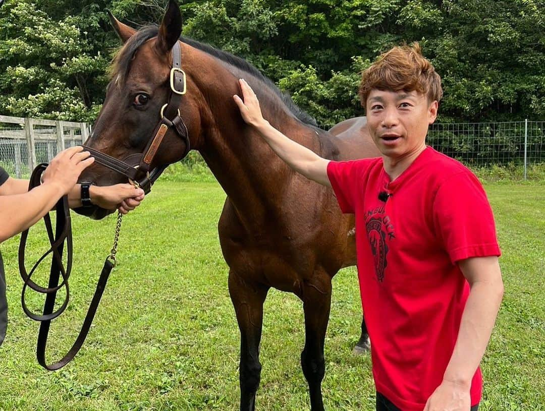 池添謙一さんのインスタグラム写真 - (池添謙一Instagram)「夏シリーズ ドリームジャーニー🐴 目がギラギラ 星さんいたから触れた笑笑  写真も星さん挟んでいつでも逃げれる準備😆 今年も会えました(^^) 元気でよかった☺️  詳しくは謙聞録で  #ドリームジャーニー」9月6日 9時45分 - kenchan.0723