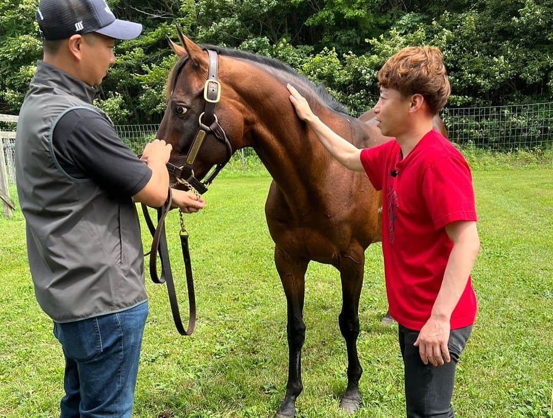 池添謙一さんのインスタグラム写真 - (池添謙一Instagram)「夏シリーズ ドリームジャーニー🐴 目がギラギラ 星さんいたから触れた笑笑  写真も星さん挟んでいつでも逃げれる準備😆 今年も会えました(^^) 元気でよかった☺️  詳しくは謙聞録で  #ドリームジャーニー」9月6日 9時45分 - kenchan.0723