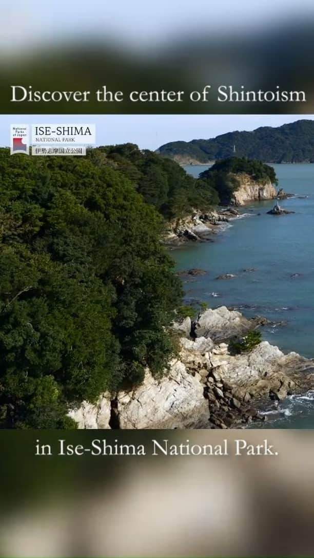 日本の国立公園のインスタグラム：「Ise-Shima National Park  Discover the essence of Shintoism in Ise-Shima.  Ise-Shima National Park in Mie is a vast treasure trove of nature, offering access to both land and sea. It includes historically significant structures such as Ise Jingu (Ise Grand Shrine), considered to be the most important Shinto shrine in the country. Ise Jingu consists of 125 shrines, centered around the Naiku and Geku shrines. The Meoto Iwa Rocks,two rocks rising out of the sea joined together by a massive rope, are another unique sight in the region. Additionally, along the coastline, there are beautiful sandy beaches where you can enjoy the pleasures of the sea.」