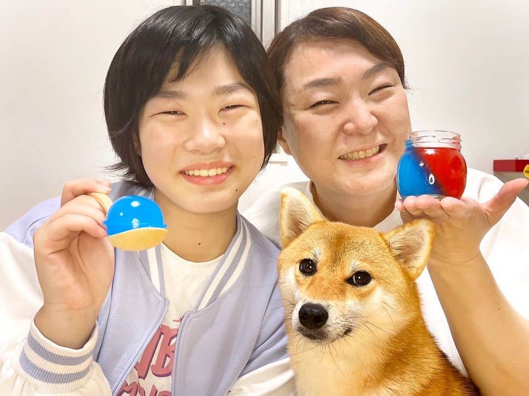 久保田磨希のインスタグラム：「5日放送の「ニュースおかえり」のおかえりご飯は、我が家のご飯でしたぁ。 最近は舞台の稽古やドラマの撮影で、夕飯を家族揃って食べられる日は少ないのですが、この日はのんびりと一緒に食べられたので「手乗せ寿司」。 「手巻き寿司」にすると海苔が多くて口がモソモソするので、我が家はいつも海苔に乗せて「手乗せ寿司」にしてます。 写真のゼリーは、かき氷シロップの残りとゼラチンで作ったゼリーです。 おすすめですよ〜🥰 A.B.C-Zの河合郁人さんがおっしゃてたように、そいちゃん合成に見えますね🫣 本当にお膝に居るのですよ〜。 #久保田磨希 #朝日放送 #ニュースおかえり #おかえりごはん  #河合郁人 さん」