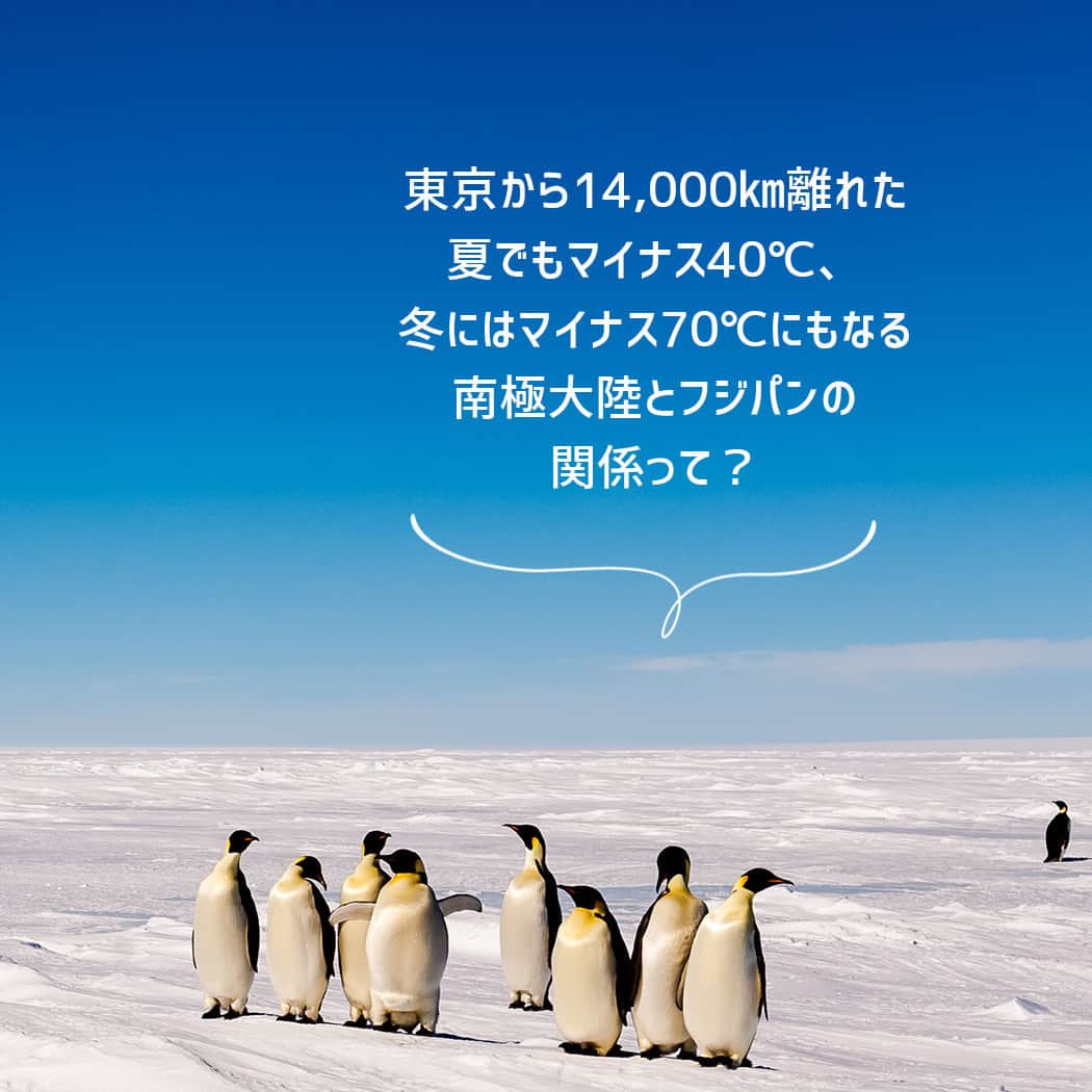 フジパン本仕込【公式】さんのインスタグラム写真 - (フジパン本仕込【公式】Instagram)「まだまだ暑い日が続きますが 涼しい話題を…❄  東京から14,000㎞離れた場所、南極大陸🐧  1966年（昭和41年）から、南極地域観測隊の活動を支える 『行動食』としてパンをお届けして以来、 フジパンは寄贈を続けてきました。  隊員の皆さんは、出発前に フジパングループのベーカリーシステム研究所で パン作りの基本から冷凍パンの焼き方まで パン作りをマスターしていただく研修を受けて 実際に現地で調理しています🍕  現地の写真を見ると とっても楽しそうですね！  夏でもマイナス40度になる南極大陸に想いを馳せて ちょっと涼んでみませんか？  #フジパン #南極地域観測隊 #南極大陸 #ペンギン #パン #パンのある生活 #パンスタグラム」9月6日 10時31分 - honjikomi_fujipan