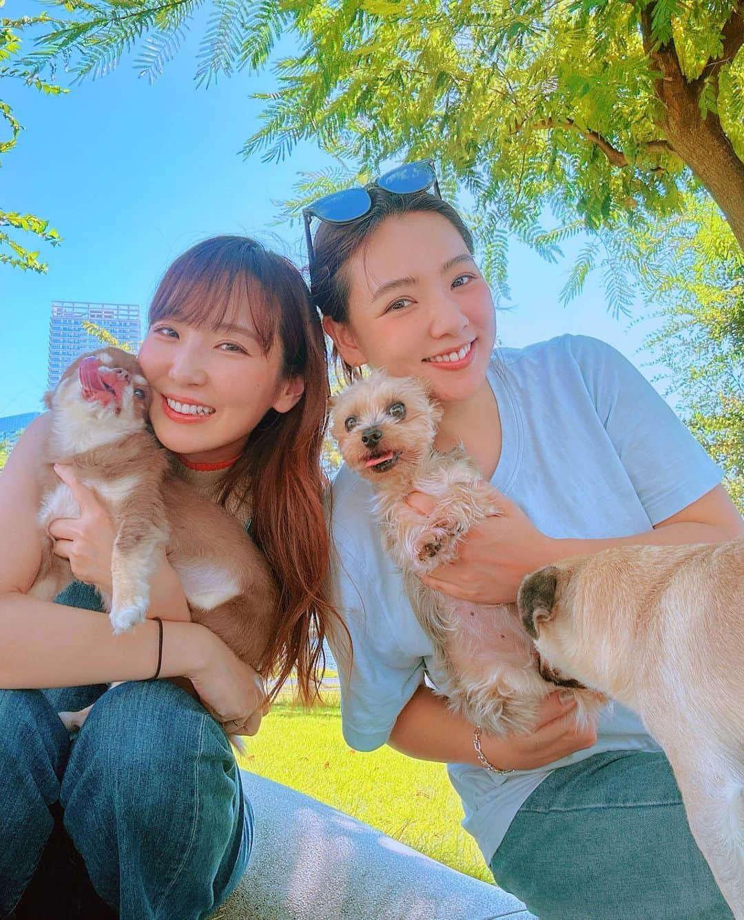 野呂佳代さんのインスタグラム写真 - (野呂佳代Instagram)「先月から何回行ってるかなドッグラン🩵 🐶一緒にランチして、遊んべて大好きな場所です！ 📷ユカリン♡ 色々な事を共に乗り越えて来た私達です笑 今一度ユカリンの説明を笑 AKB.SDN48と一緒に過ごしてきた親友ですね笑 会うと必ず昔の話最低一回は絶対出てくる笑笑 仕事でどんな日々だったのか、あの時必死だった時に発していた仰天の会話、ボロボロになっていた日々、爆笑だった話、そして現在。 会話と笑顔が尽きない人です。 この人とは不幸が起きてももめちゃくちゃ笑えちゃう、そんな人です笑 ・ 昔も今も変わらないスタイル、綺麗さ、可愛さ🩷 これからの人生もどうぞよろしくですm(_ _)m ・ ※補足しておこうかな... ドッグランはいつもの時間より少し早い時間に行ってしまい、暑くてすぐ退散です！！お水が常に噴水のように撒かれてるんですけどね🚿🩵 これからお散歩しやすくなる季節なので、よりドッグラン楽しみです🐕」9月6日 11時02分 - norokayotokyo