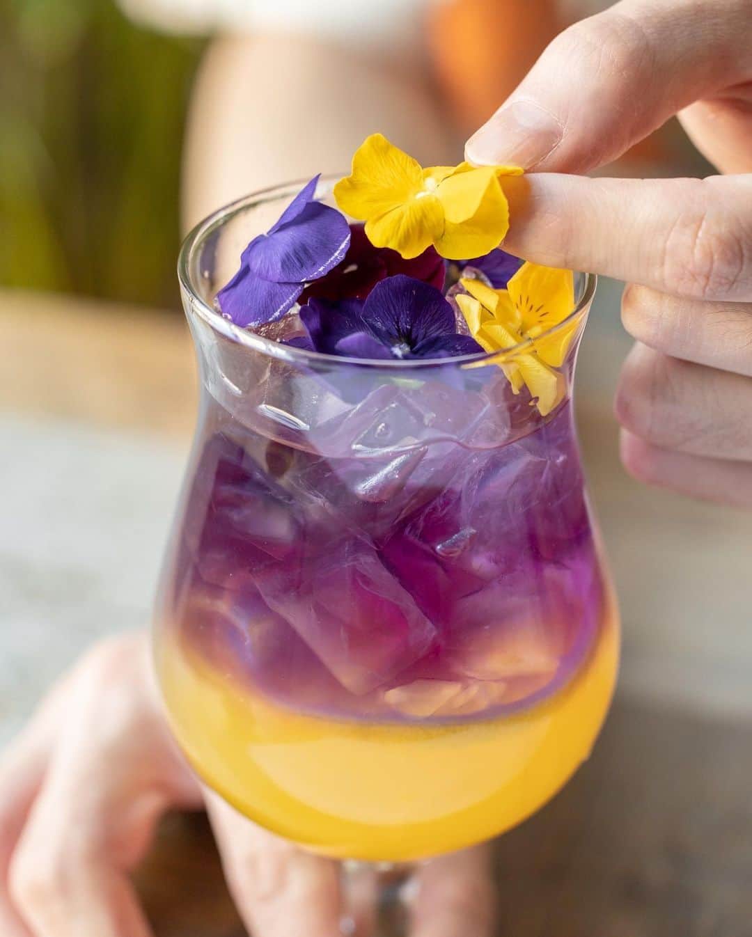 アロハテーブルさんのインスタグラム写真 - (アロハテーブルInstagram)「飲んでみたいと思ったら💙をコメントしてね🌞  バタフライピーって知ってる？ もとは青いですが、レモン果汁などを加えると酸性に反応して紫色に変化する不思議なお茶。 とってもキレイな色ですよね💙💜  アロハテーブルでは「オーキッド」というモクテルにバタフライピーが使われています🍹 ぜひ飲んでみてね🏄🏼‍♀️  @alohatable_waikiki  #アロハテーブル #alohatable  #ハワイ #hawaii #ハワイ好き #ハワイナンバーワンロコモコ  #ハワイ好きな人と繋がりたい  #カフェ部 #カフェ巡り #モクテル #バタフライピー #テラス席があるお店 #zetton #仙台カフェ #大宮カフェ #代官山カフェ #中目黒カフェ #飯田橋カフェ #大崎カフェ #豊洲カフェ #横浜カフェ #みなとみらいカフェ #湘南カフェ #海老名カフェ #千葉カフェ #金山カフェ #星が丘カフェ #天王寺カフェ」9月8日 21時00分 - alohatable_jp