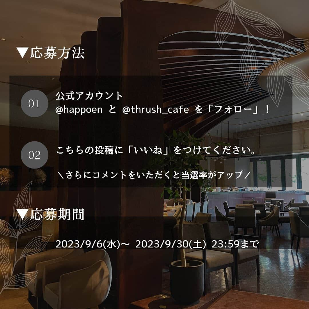 八芳園さんのインスタグラム写真 - (八芳園Instagram)「Thrush Café メニューリニューアル記念キャンペーン🕊✨  ／ 八芳園のレストラン「Thrush Café」では、 9月1日よりメニューをリニューアル🍴 ご招待チケットを抽選で【10組様】にプレゼント💐✨ ＼  ==========  🍴応募条件   1.公式アカウント @happoen と @thrush_cafe をフォロー！  2.こちらの投稿に「いいね」をつけてください。  「Thrush Café」や「八芳園」での思い出やエピソードを コメントしていただくと、当選の確率があがります✒️  ==========  🍴応募期間  2023/9/6(水)〜 2023/9/30(土) 23:59まで  ==========  🍴プレゼント内容  ・「プリフィックスコース 」1組2名様 ・「アフタヌーンティー」1組2名様 ・「スラッシュカフェハンバーガー 農園サラダ添え」3組6名様 ・「ケーキセット」5組10名様  ==========  季節と共に変わっていく庭園を眺めながら、 新鮮な野菜を使ったお料理を味わう。  「Farm to Table」がコンセプトの、 八芳園のレストラン「Thrush Café」。  この度、9月1日よりメニューをリニューアル💐  豊富なアラカルトと、 メイン4種より選べるコースが登場しました🍽✨  メニューリニューアル記念と日頃の感謝の想いを込めて、 「Thrush Café」のご招待チケットプレゼントキャンペーンを開催いたします。  皆さまのご応募を、心よりお待ちしております🕊✨  ==========  ▼ご当選について ・ご応募は日本国内在住の方に限らせていただきます。 ・当選された方には2023年10月下旬頃までにDMにてご連絡いたします。 ・当選のDMを受け取れますよう、アカウントを「公開」にご設定ください。 ・期限内にDMにご返信いただけない場合は、当選は無効とさせていただきます。 ・賞品写真はイメージです。 ・賞品は店舗の状況などにより変更する場合がございますのでご了承ください。 ・本アカウントを装った偽アカウント等には十分にお気をつけください。  八芳園公式アカウント（@happoen）以外から  本キャンペーンのご連絡をすることはありません。  ==========  #八芳園 #happoen #スラッシュカフェ #thrushcafe #レストラン #おしゃれカフェ #カフェ好きな人と繋がりたい #アフタヌーンティー #ヌン活 #グルメ #グルメ好きな人と繋がりたい #ハンバーガー #コース料理 #カフェ巡り #プレゼントキャンペーン #プレゼント企画 #プレゼント企画開催中 #プレゼント #キャンペーン #プレゼントキャンペーン中 #フォローいいねキャンペーン #インスタキャンペーン #キャンペーン実施中」9月6日 11時16分 - happoen