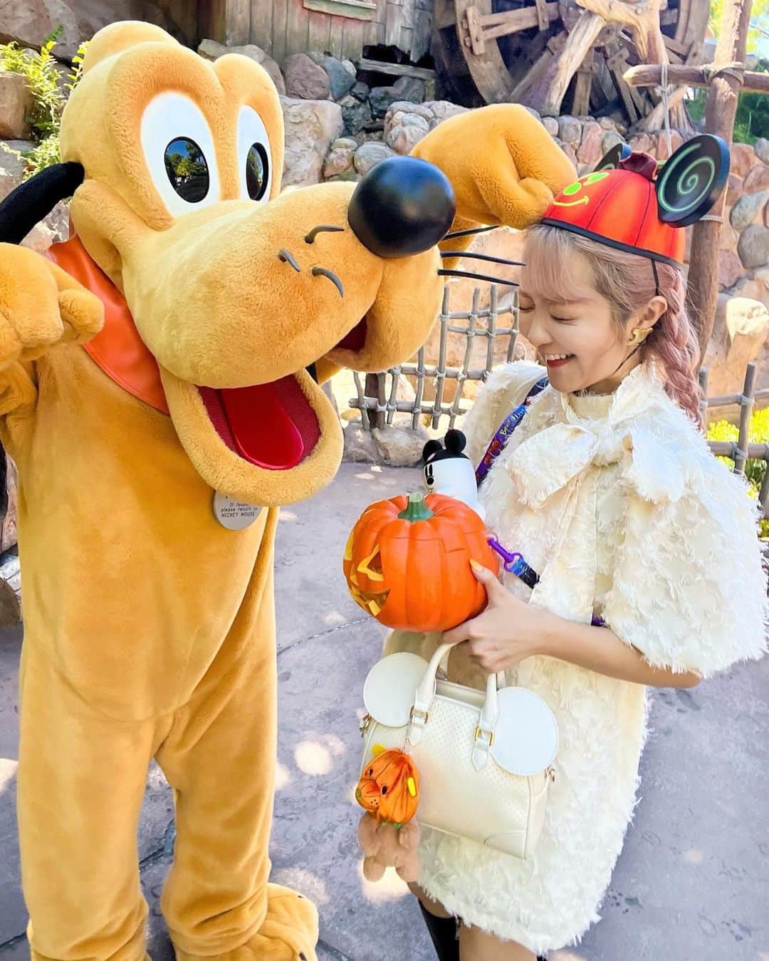 のインスタグラム：「🧡🦴💛  .  お誕生日おめでとうプルート🦴💛🐾 昨日中に間に合わなかったけど！笑  .  この前のグリが幸せすぎたので見てー！🥹💛🐾 かぼちゃにじゃれてくれたの🤣💞  かわいすぎて癒されました、、🥹💛 〰〰〰️〰〰〰〰️〰 #disneysisters_jp ☜中島姉妹ディズニー投稿まとめ @nakajimasisters_jp ☜姉妹アカウント🎃」